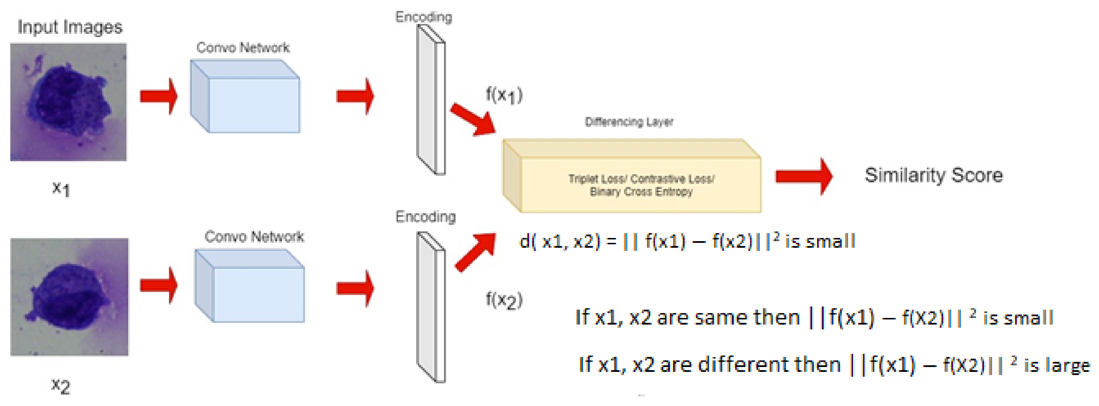 Diagnostics 13 00112 g009 Diagnostics 13 00112 g009