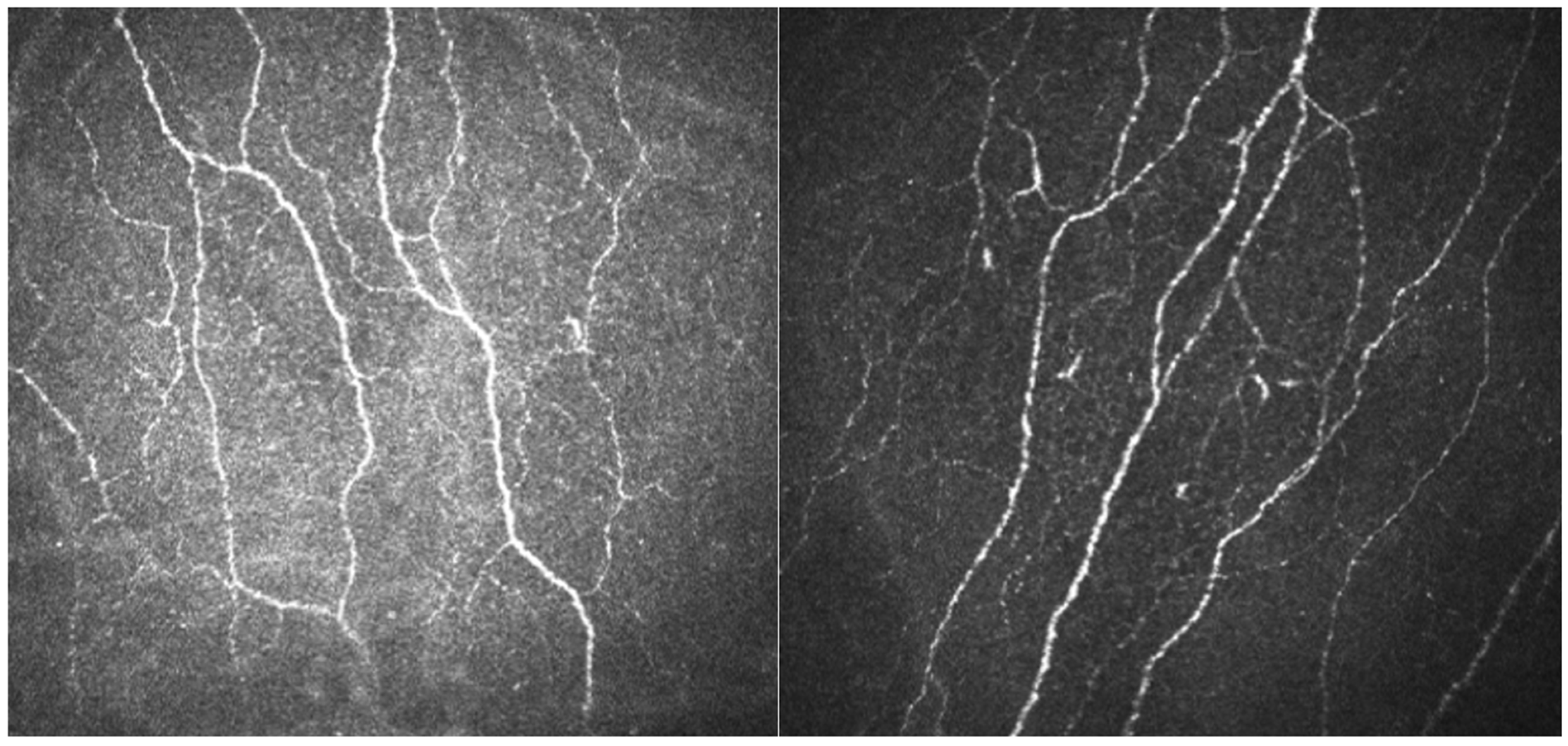 Diagnostics 13 00122 g004 Diagnostics 13 00122 g004