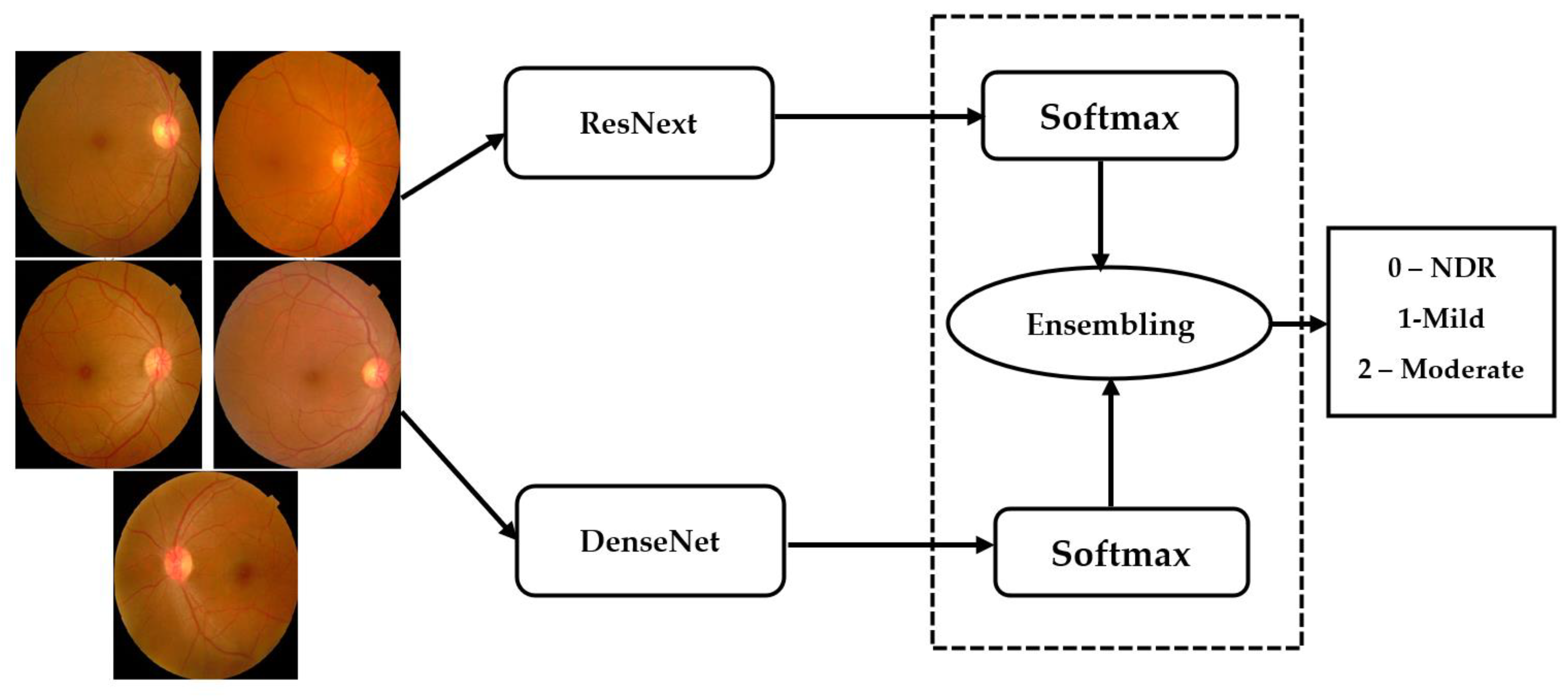Diagnostics 13 00124 g007