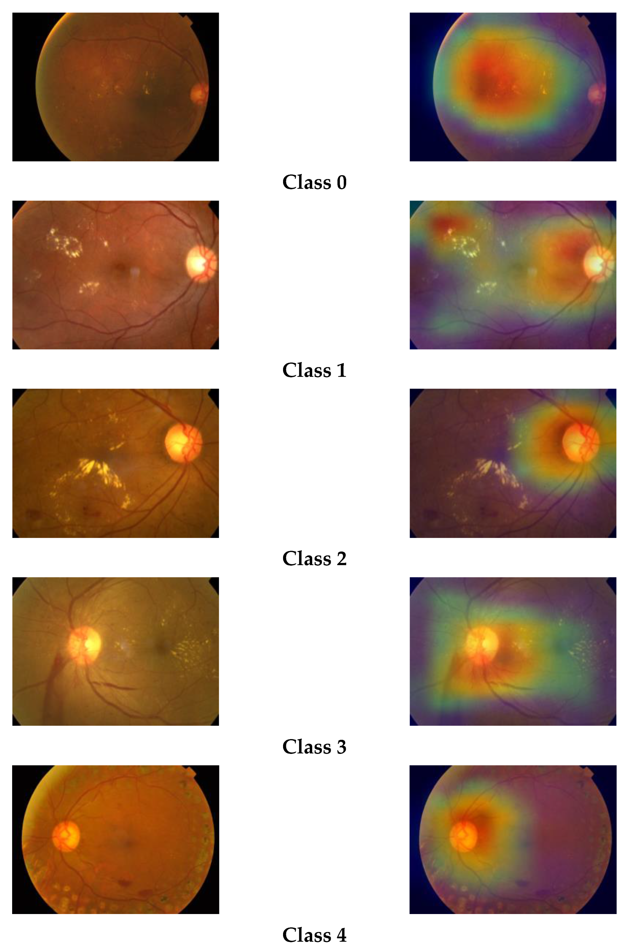 Diagnostics 13 00124 g008