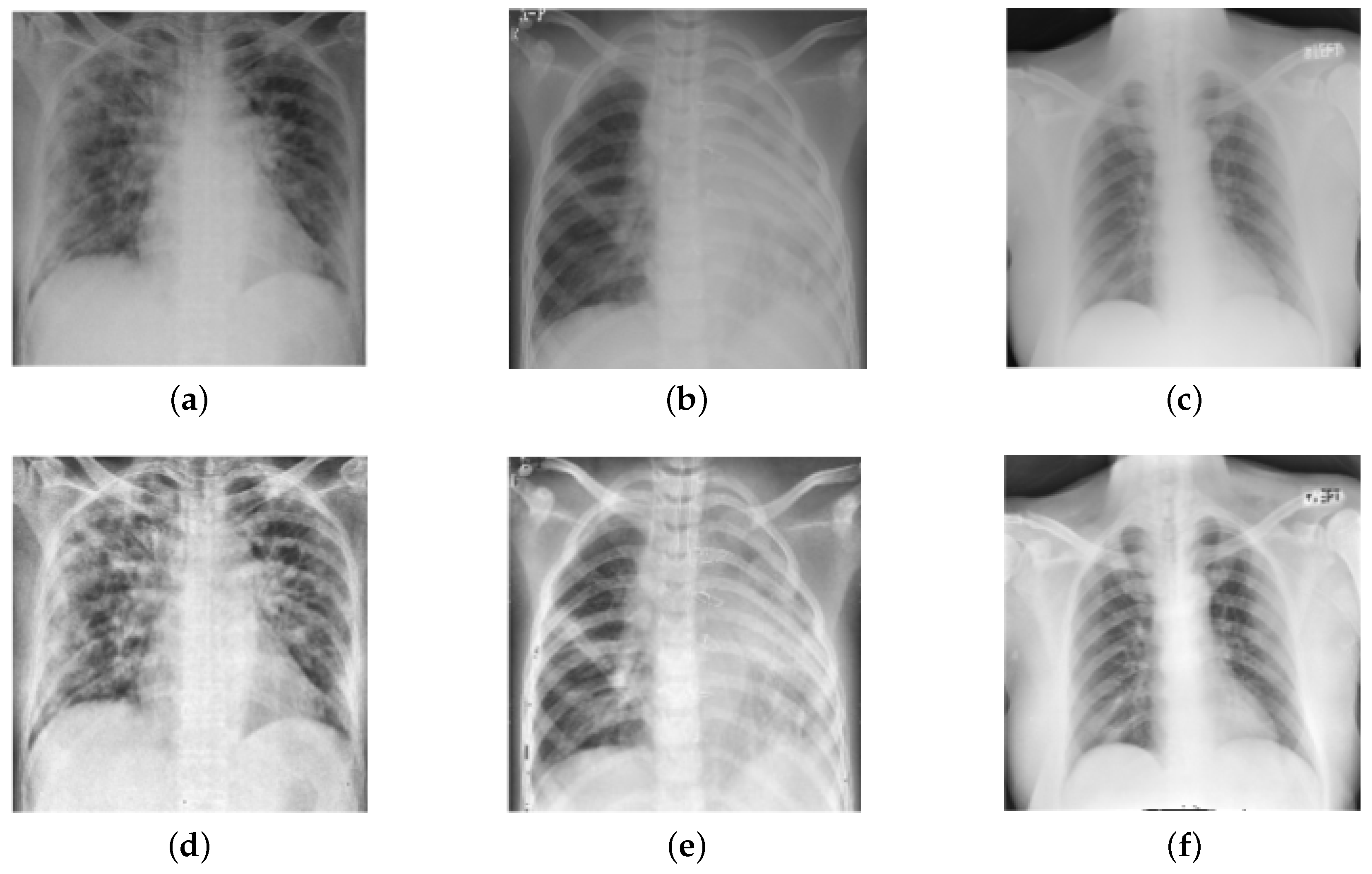 Diagnostics 13 00131 g003