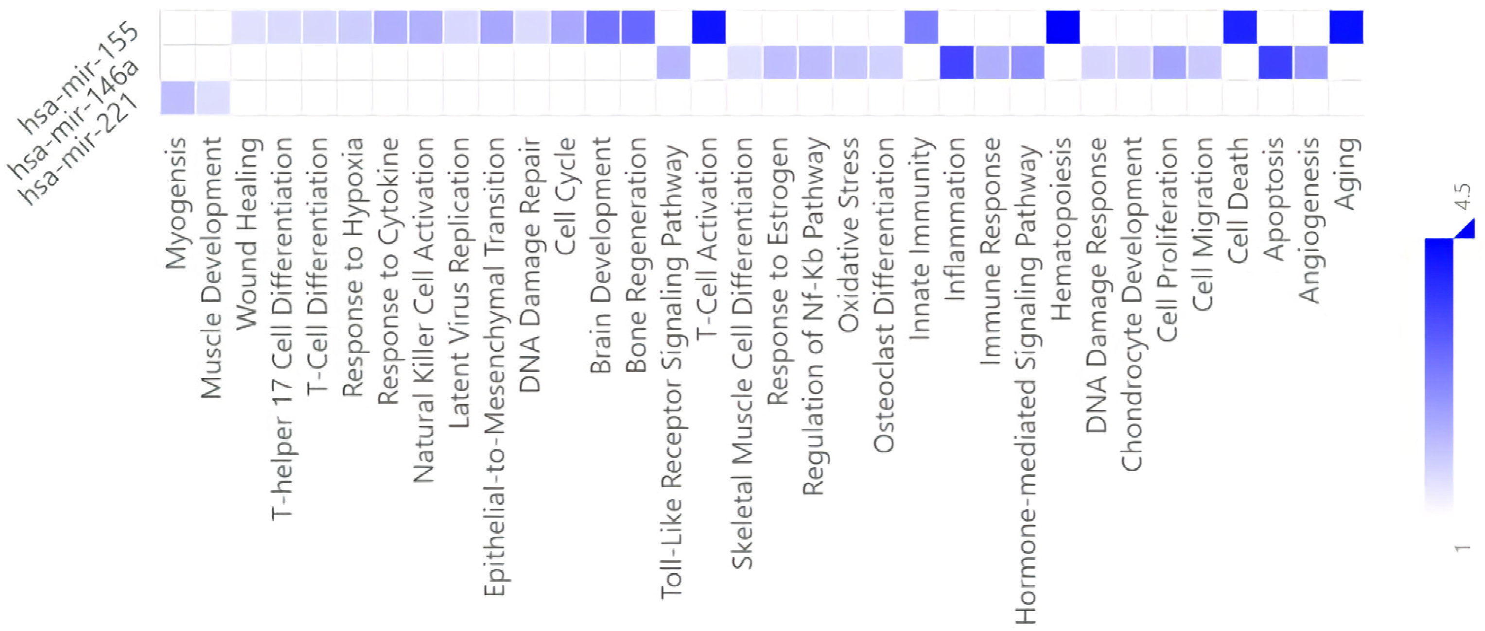 Diagnostics 13 00133 g006 Diagnostics 13 00133 g006