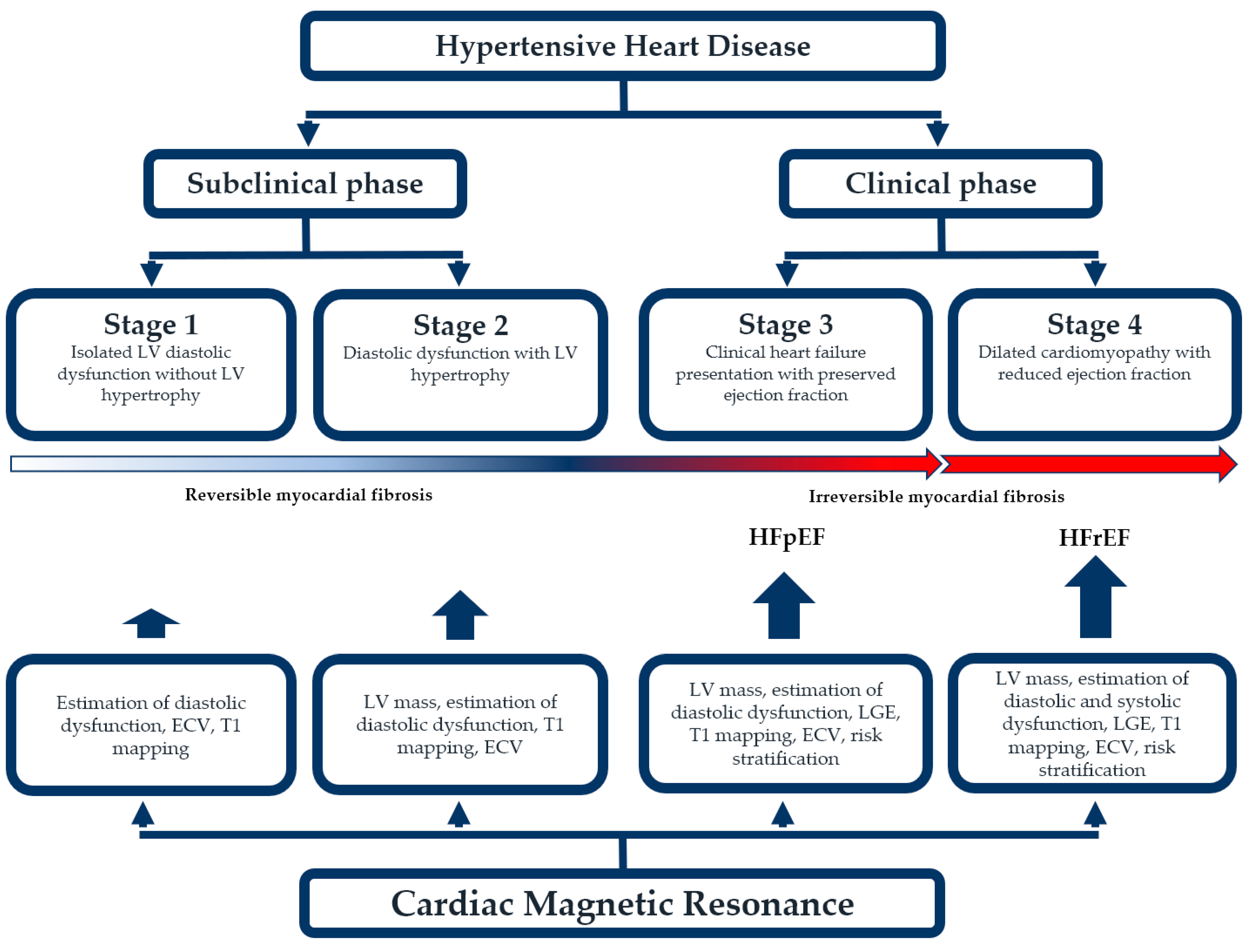 Diagnostics 13 00137 g003 Diagnostics 13 00137 g003