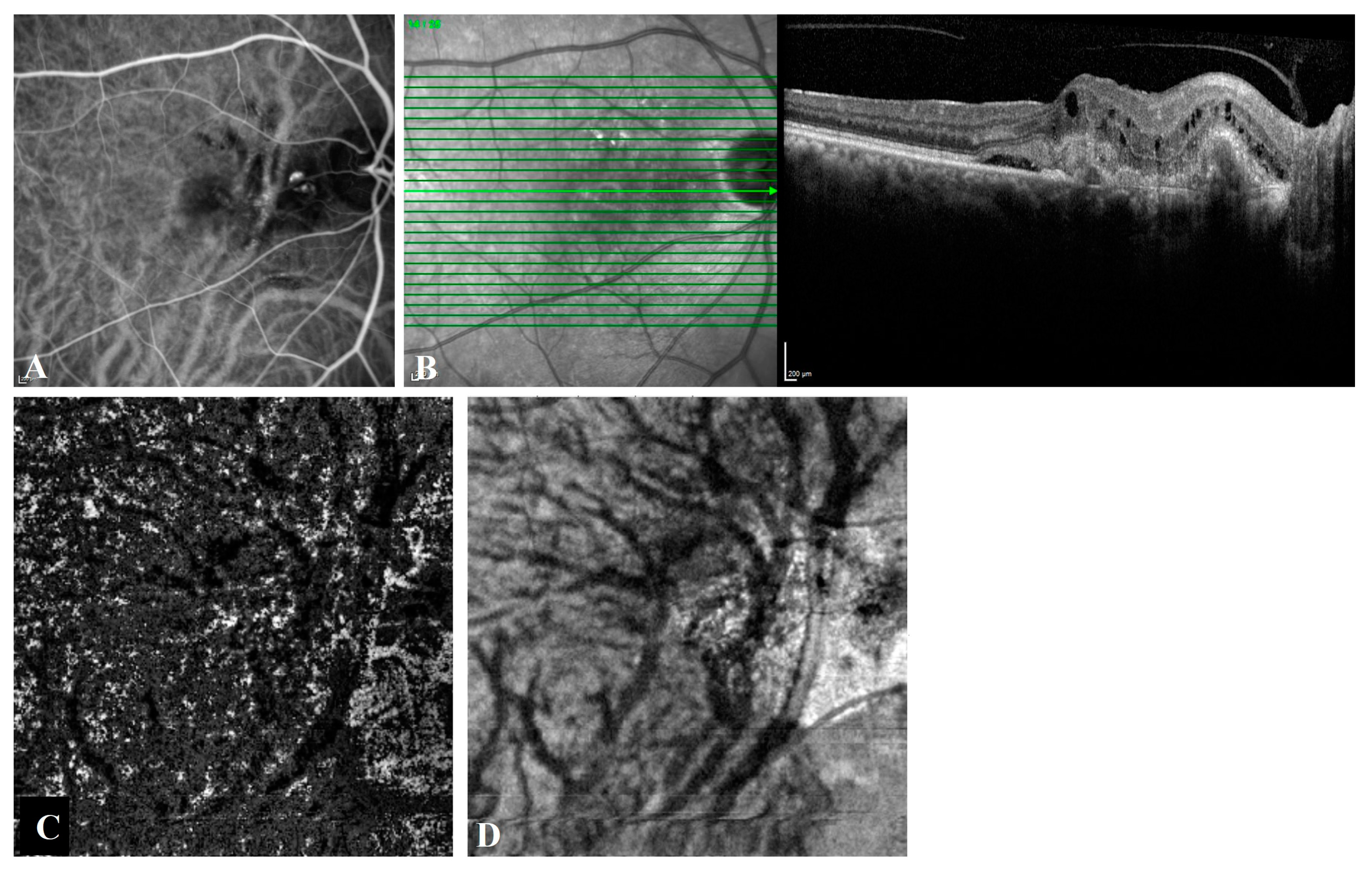 Diagnostics 13 00138 g002