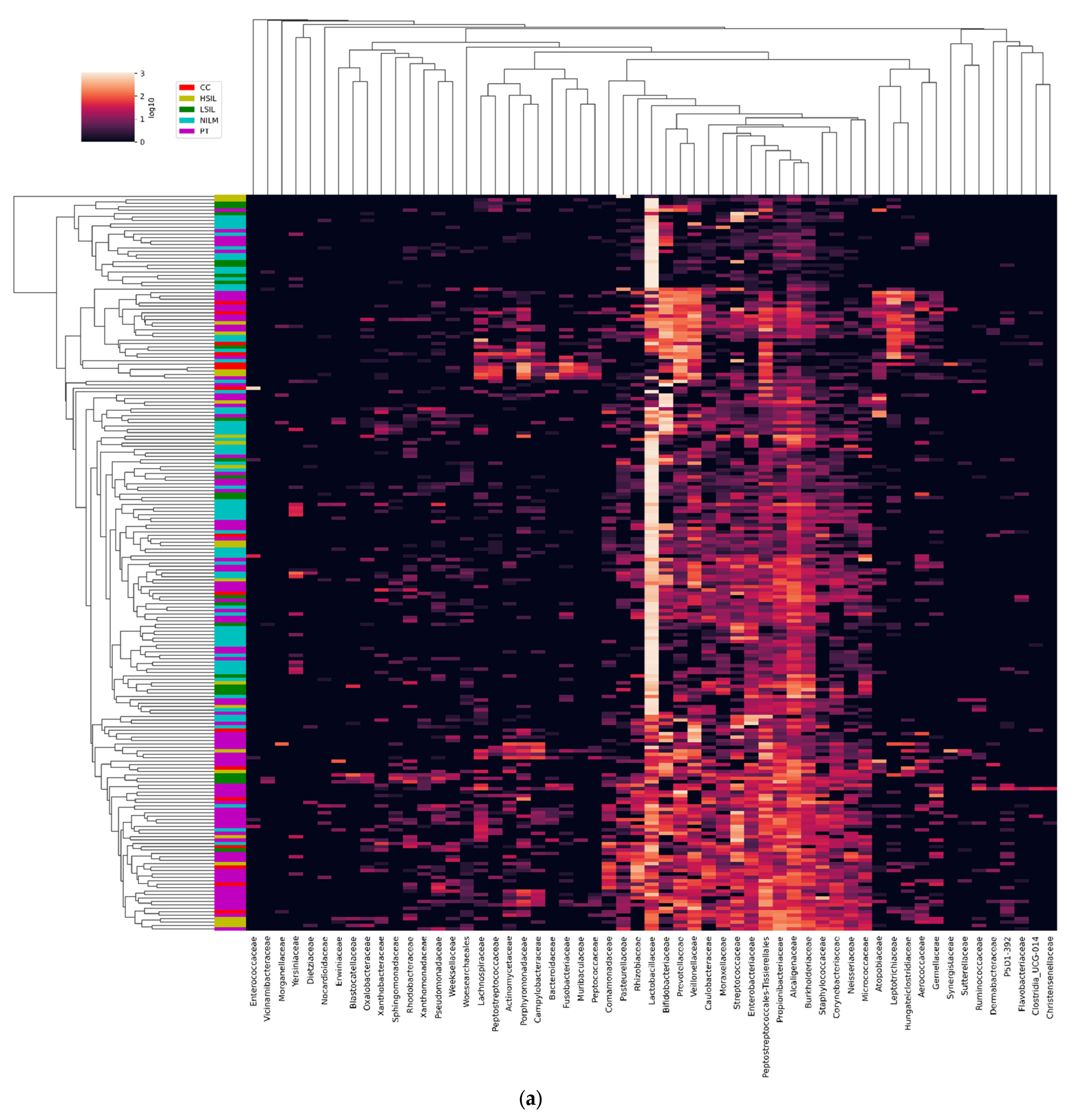 Diagnostics 13 00140 g004a