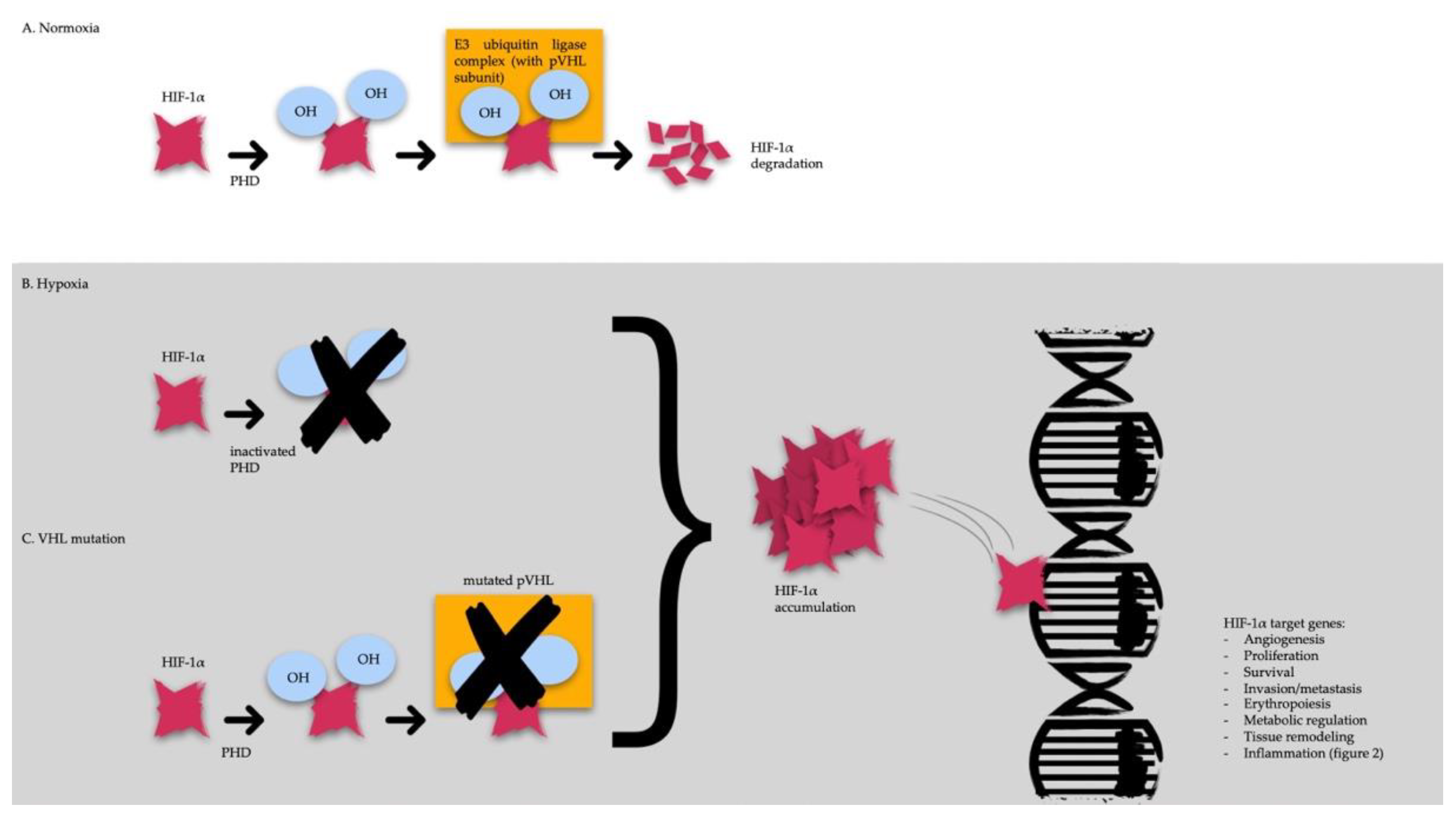 Diagnostics 13 00144 g001 Diagnostics 13 00144 g001