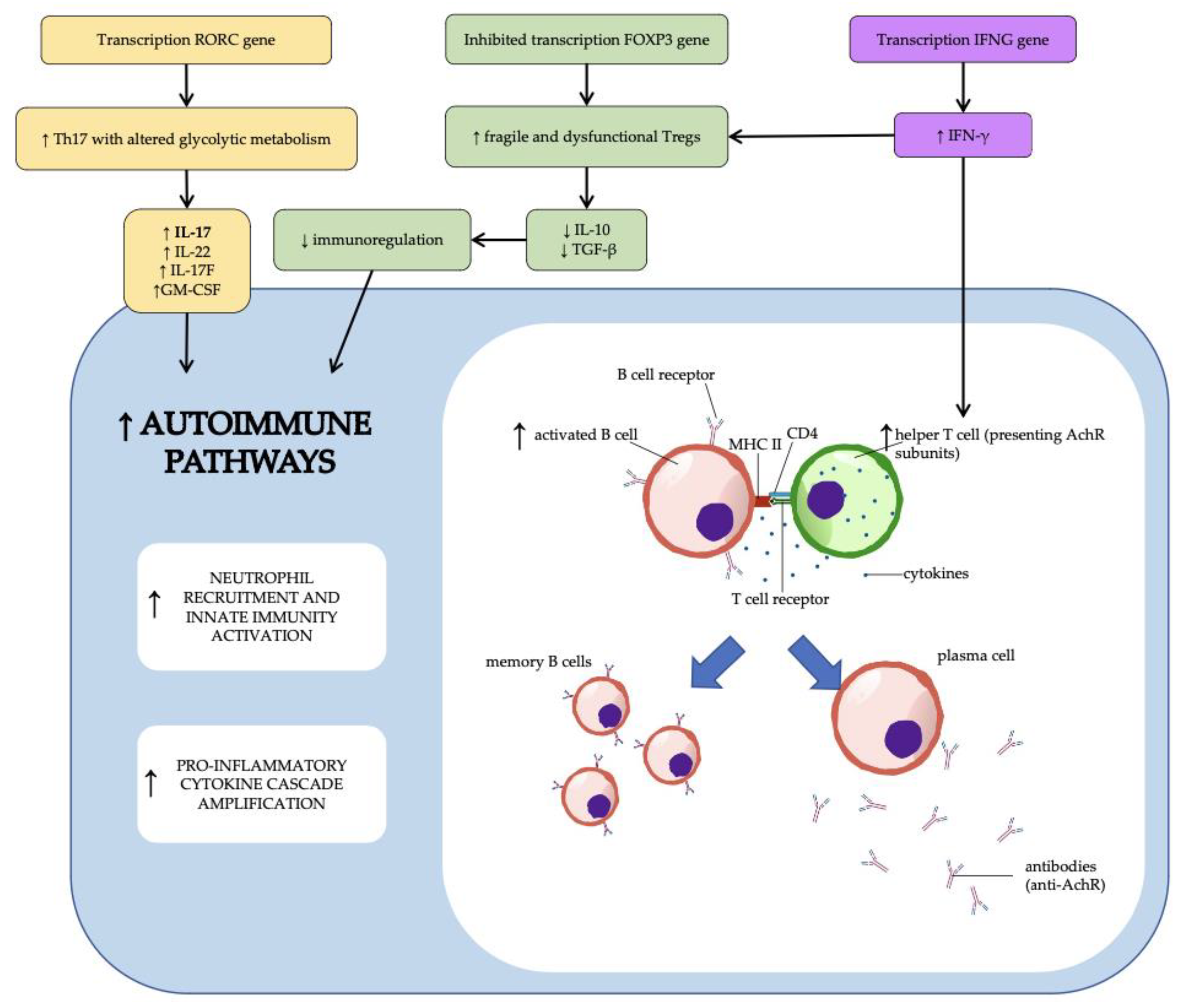 Diagnostics 13 00144 g002 Diagnostics 13 00144 g002