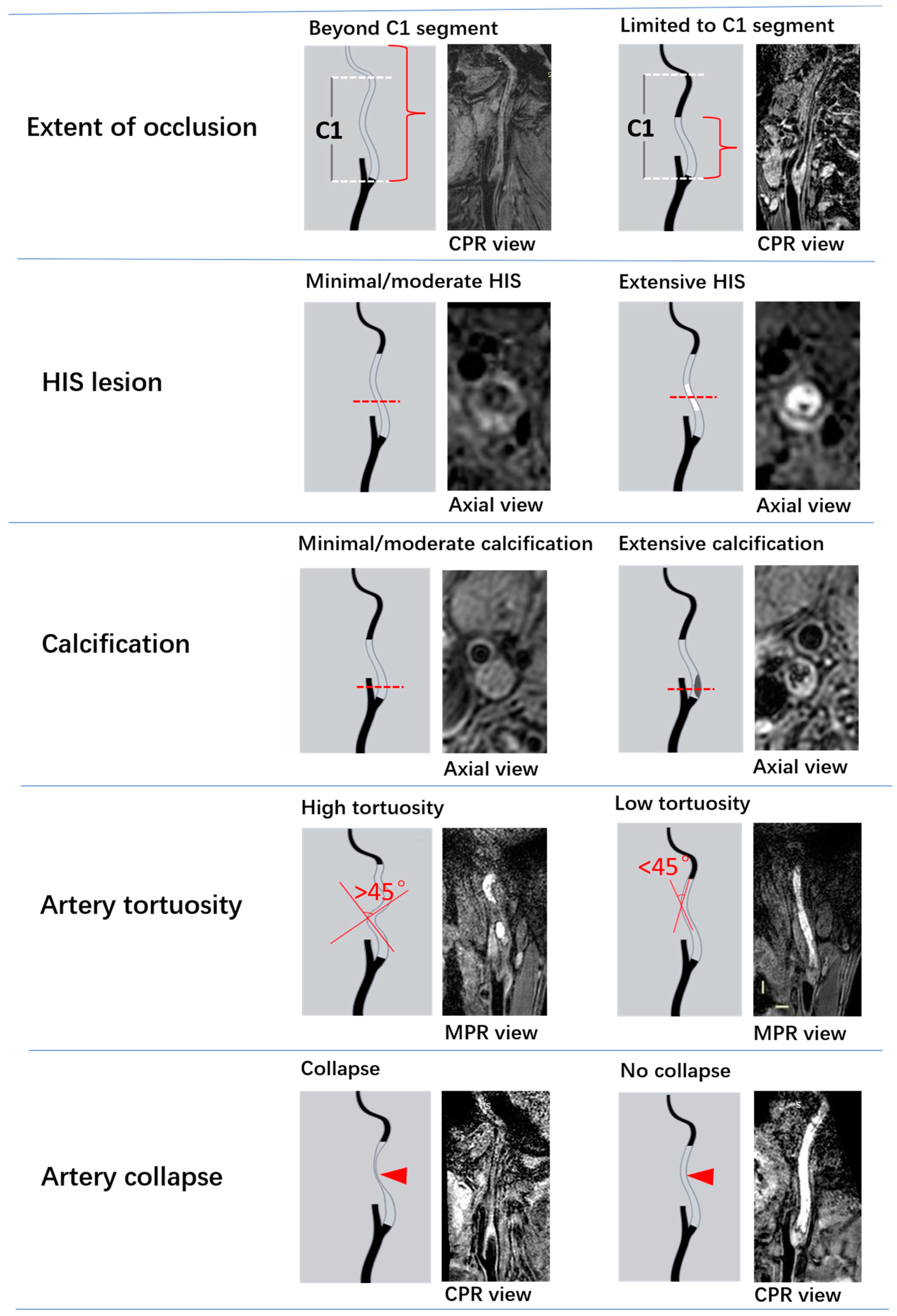 Diagnostics 13 00147 g001