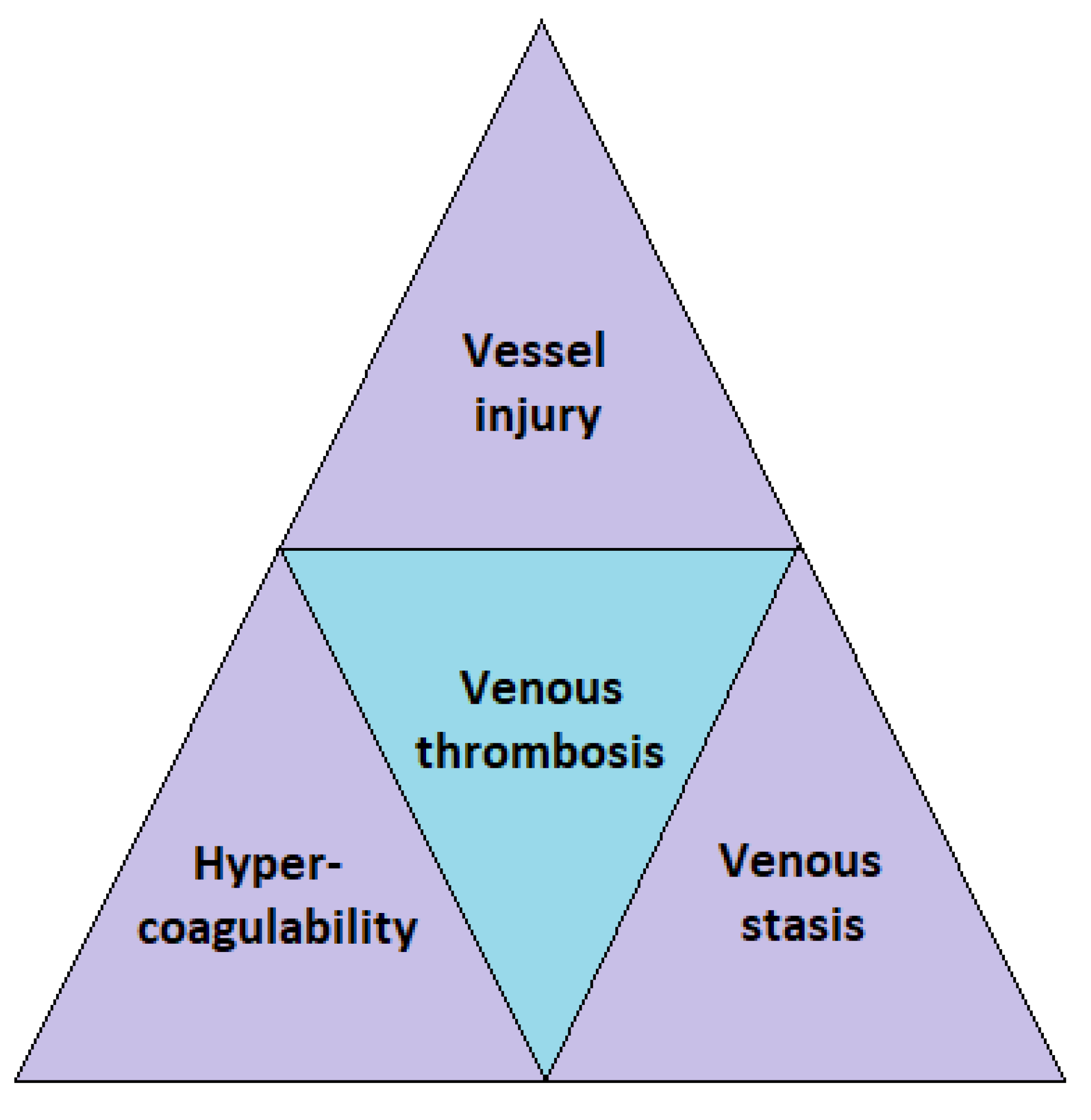 Diagnostics 13 00150 g001 Diagnostics 13 00150 g001