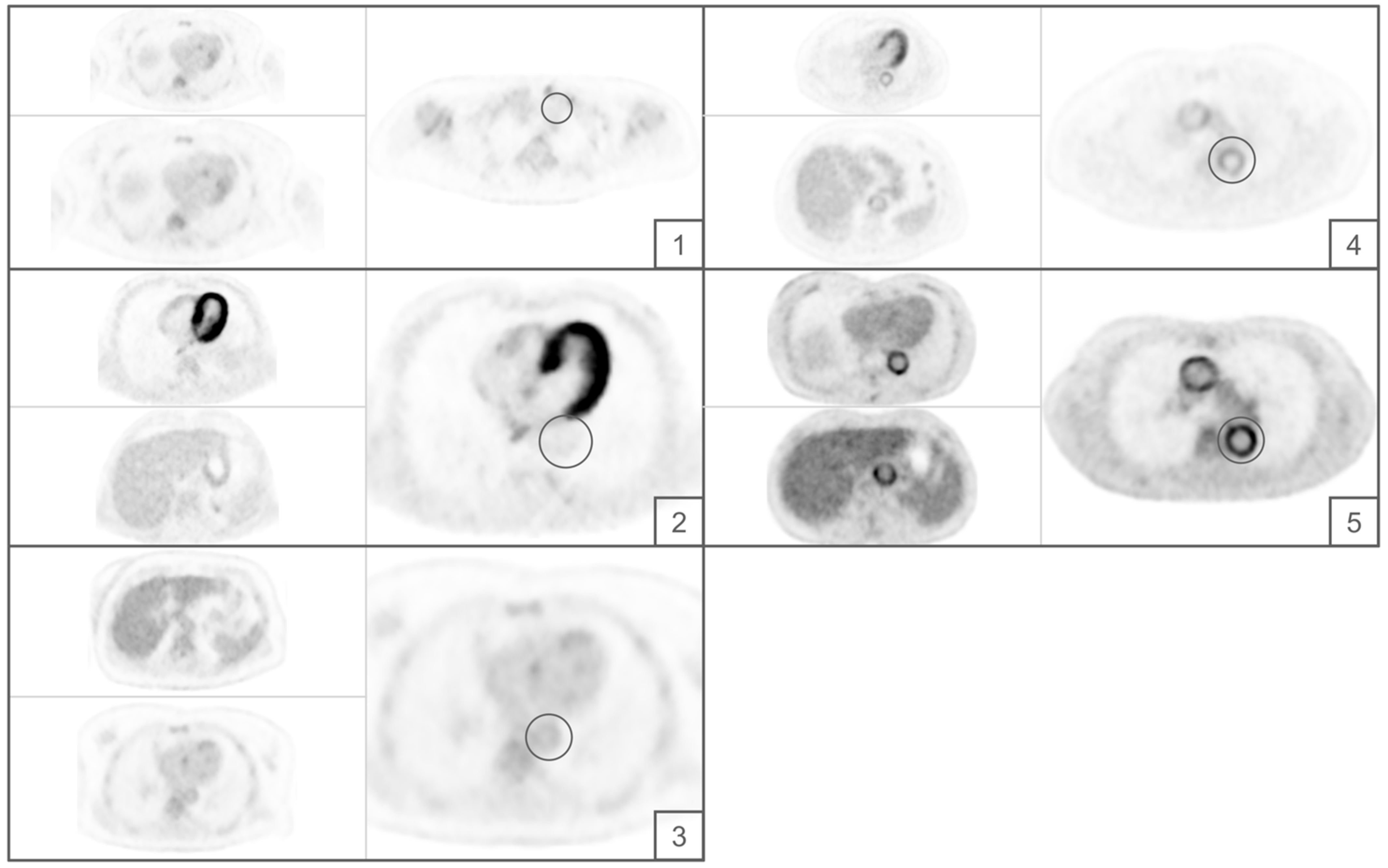 Diagnostics 13 00157 g001 Diagnostics 13 00157 g001
