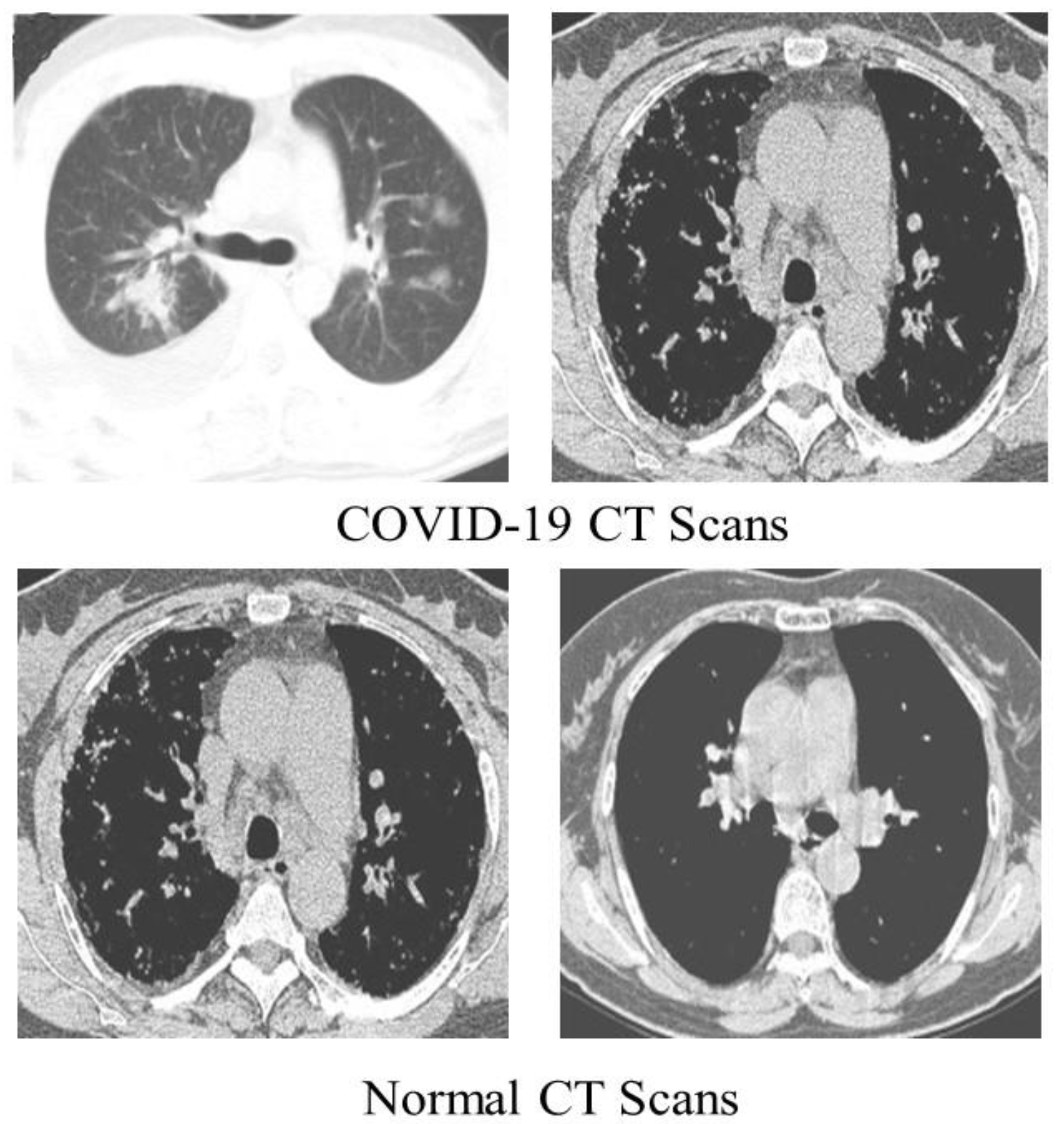 Diagnostics 13 00162 g004