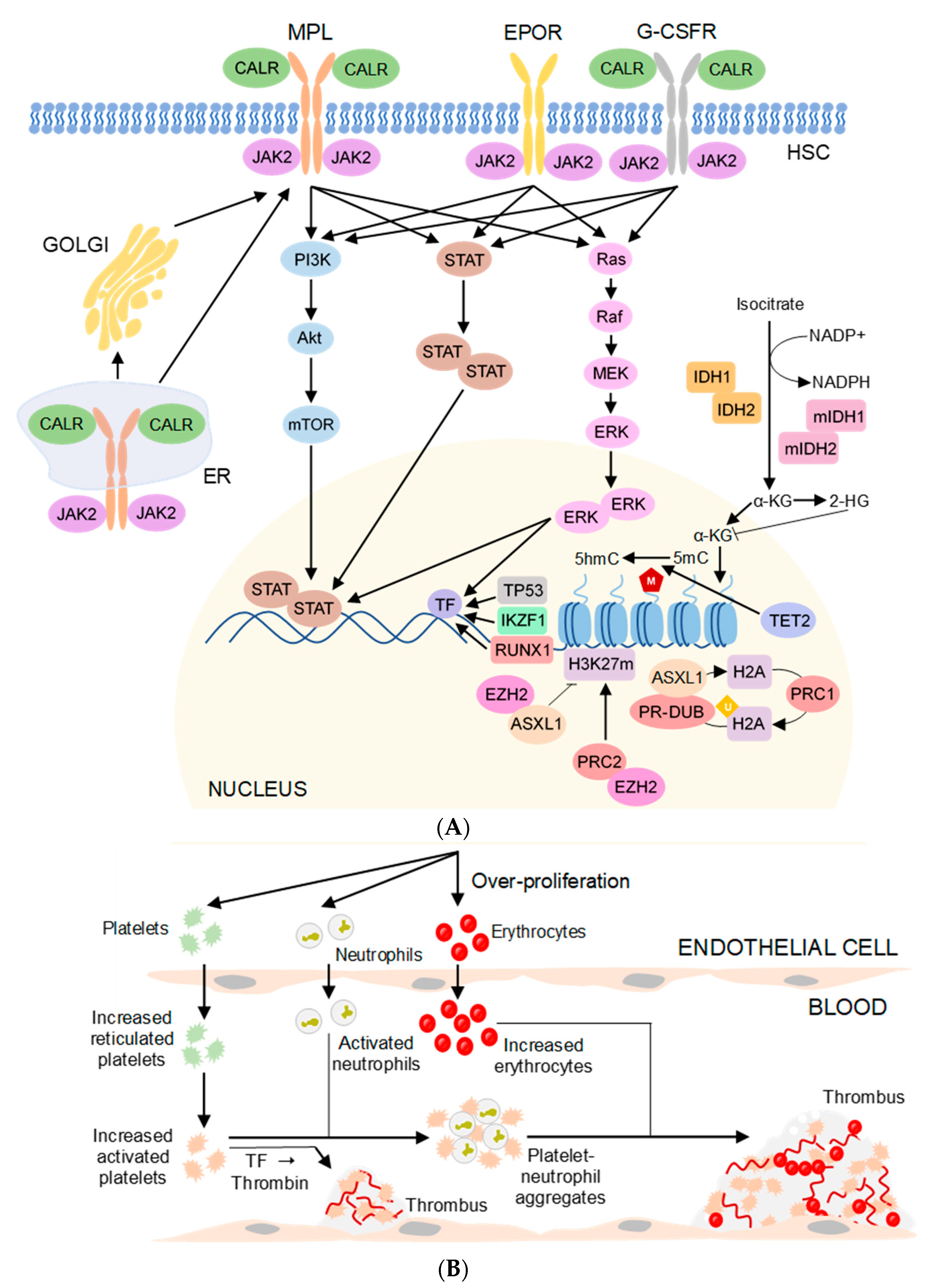 Diagnostics 13 00163 g001