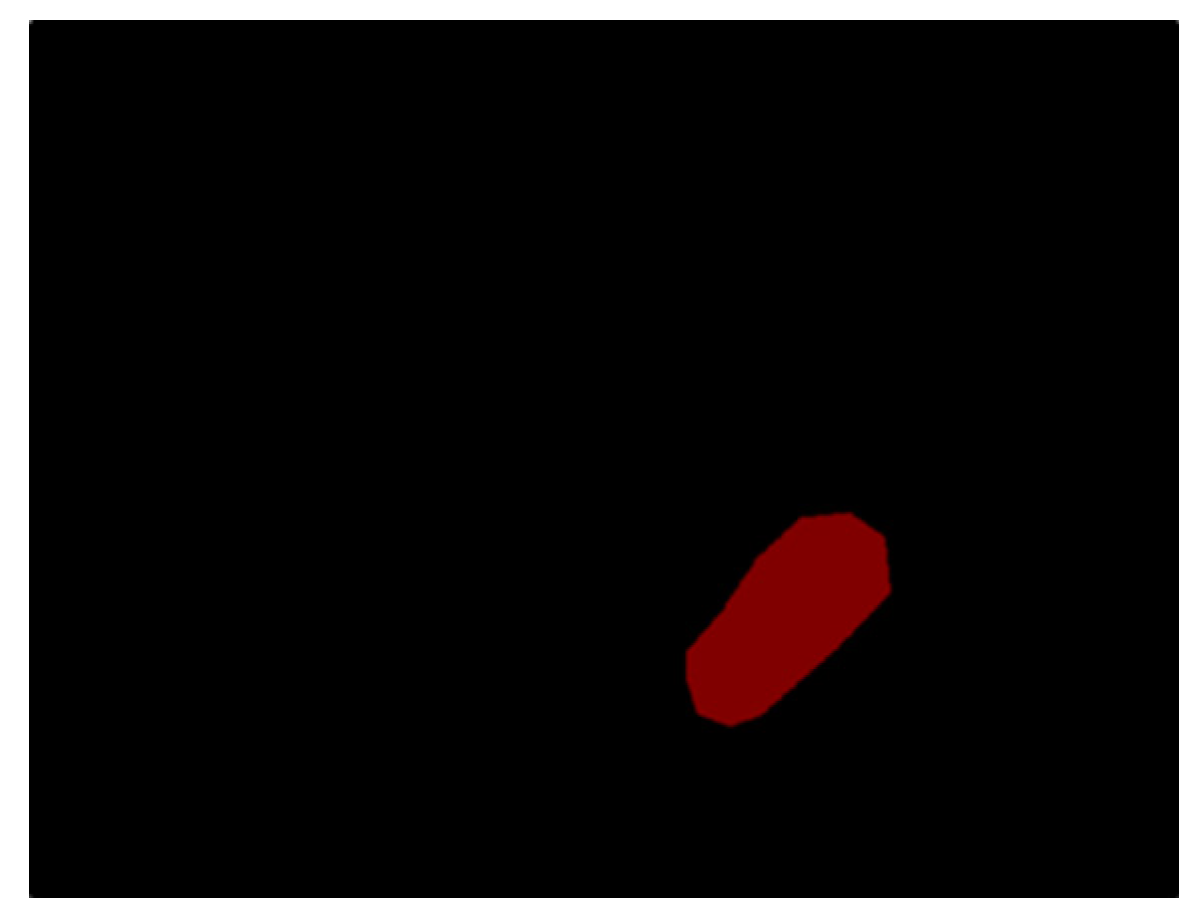 Diagnostics 13 00170 g001