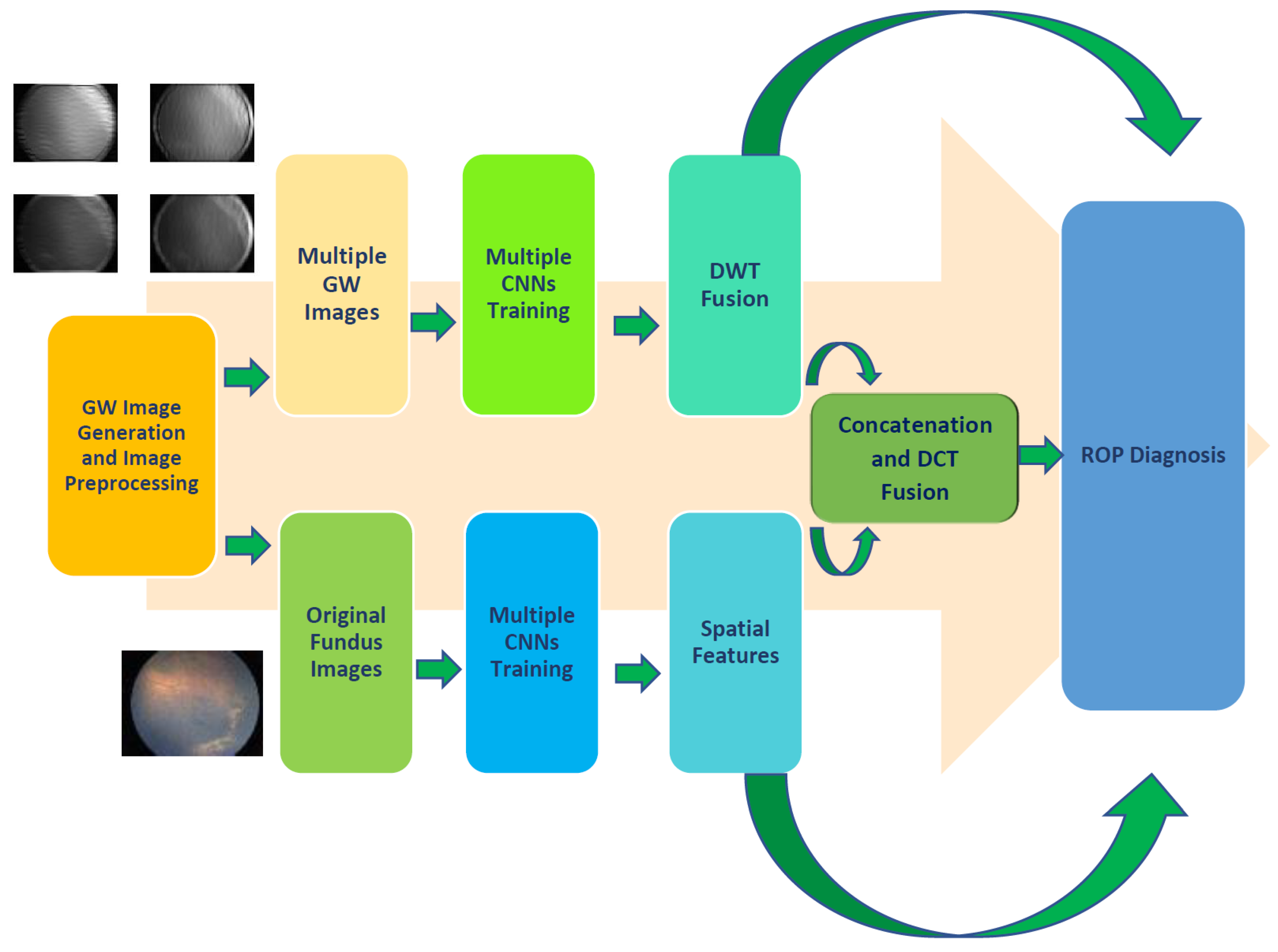 Diagnostics 13 00171 g002
