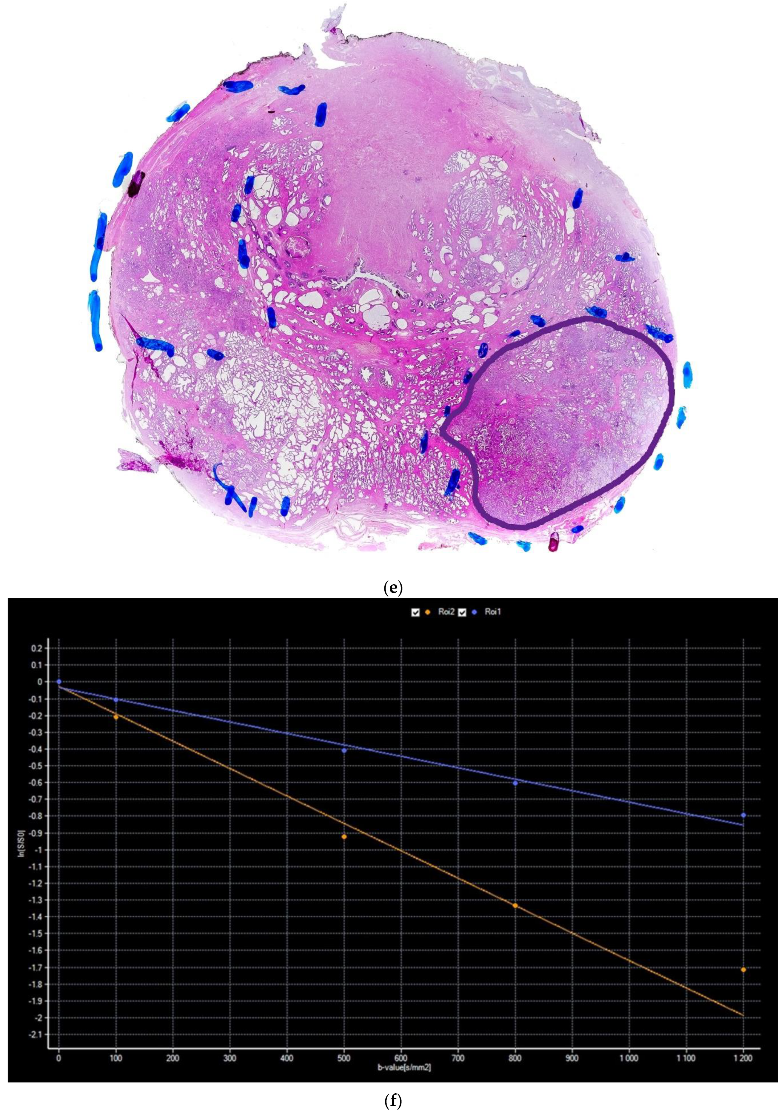Diagnostics 13 00173 g001b