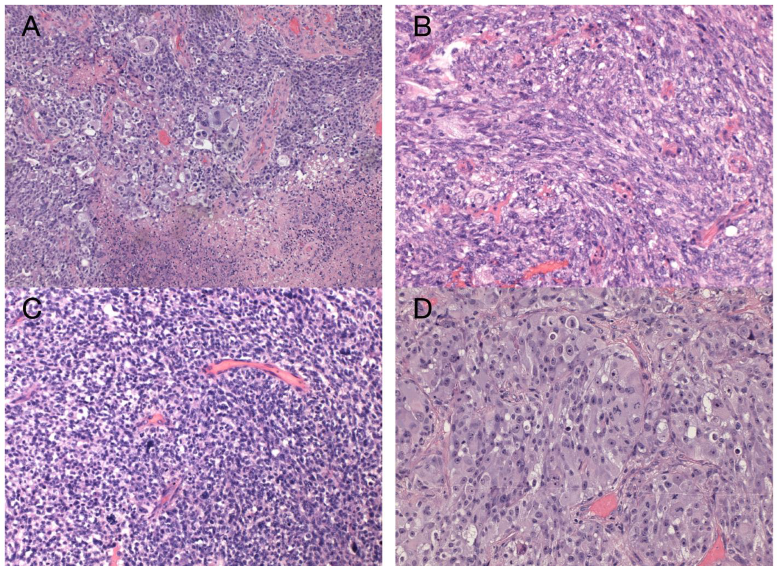 Diagnostics 13 00181 g002 Diagnostics 13 00181 g002