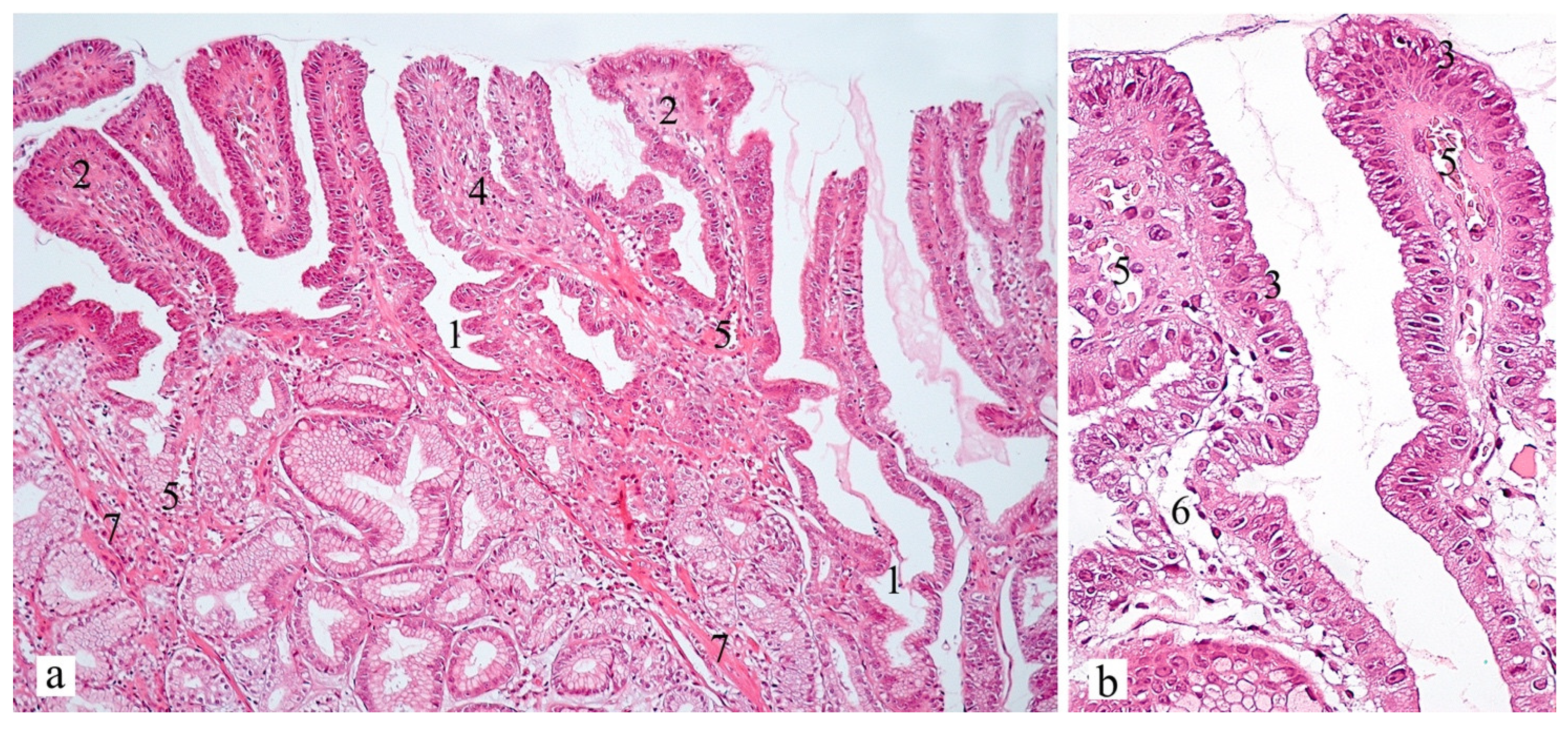 Diagnostics 13 00186 g003 Diagnostics 13 00186 g003