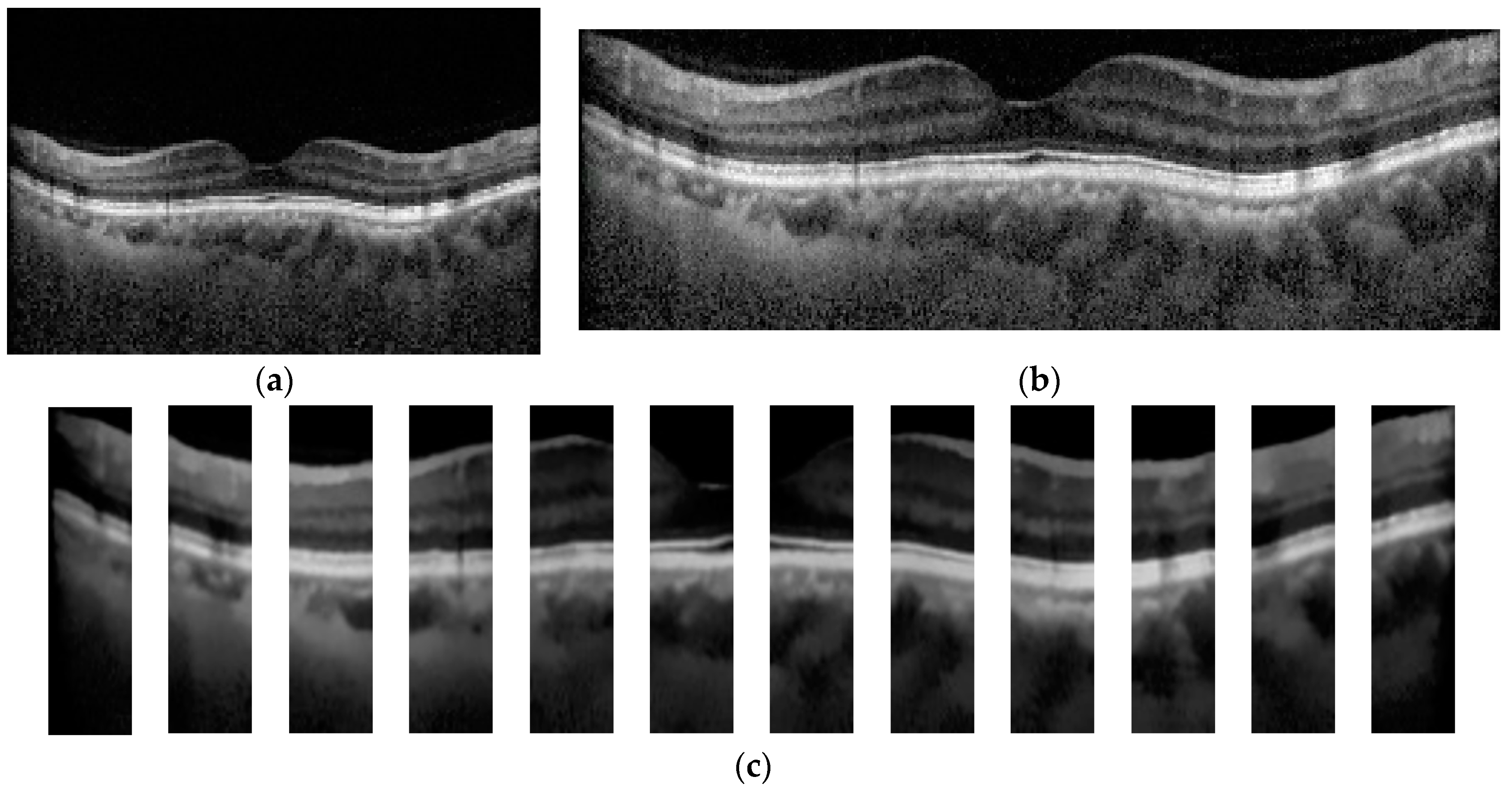 Diagnostics 13 00189 g003