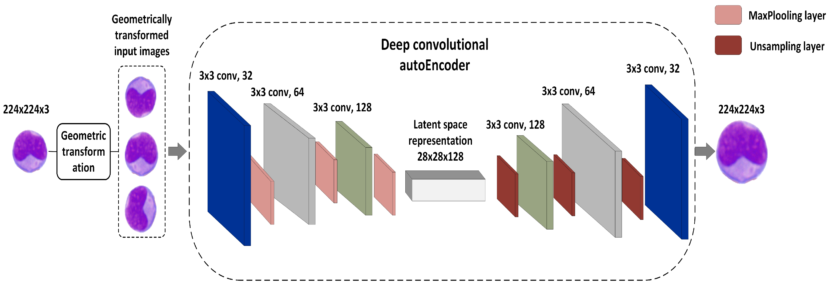 Diagnostics 13 00196 g003 Diagnostics 13 00196 g003