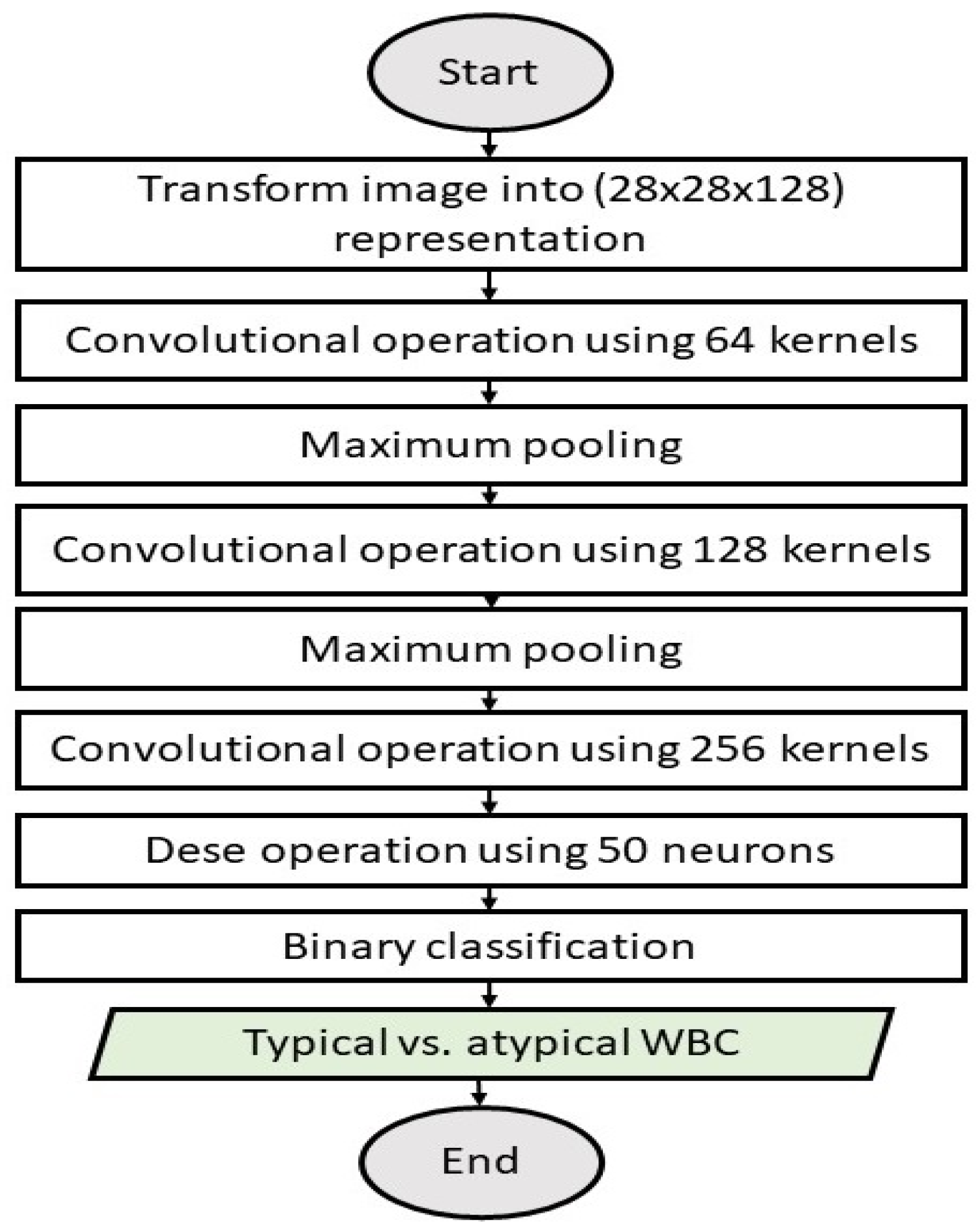 Diagnostics 13 00196 g005 Diagnostics 13 00196 g005