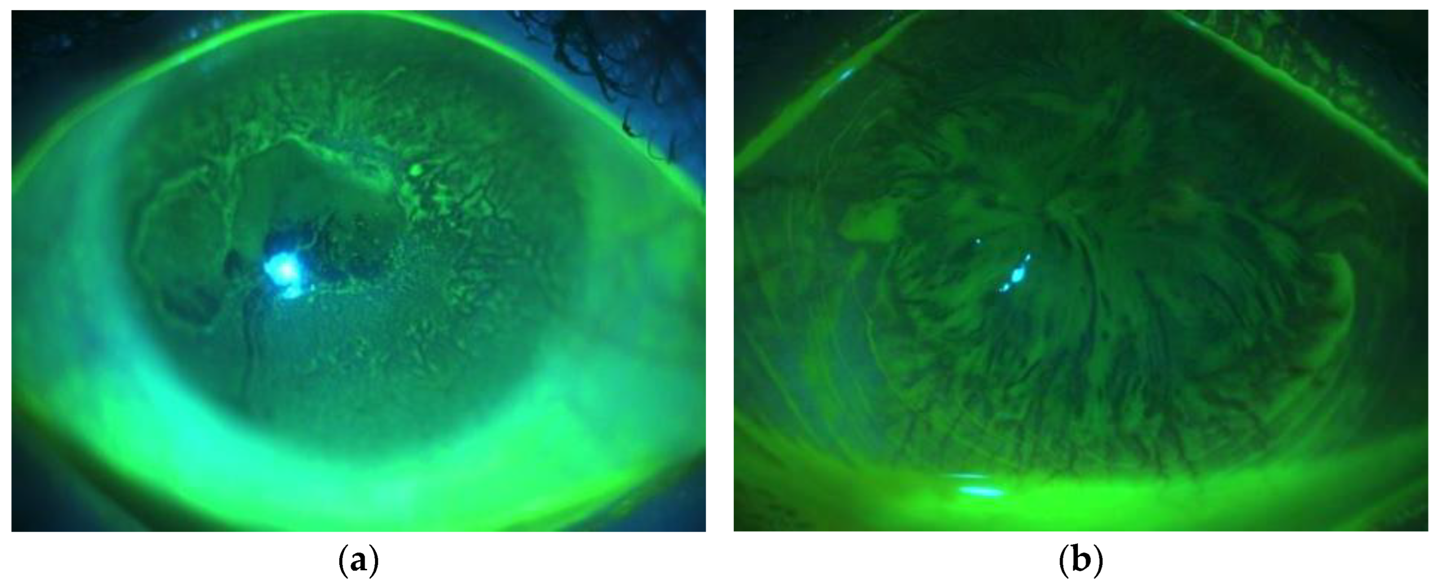 Diagnostics 13 00199 g001