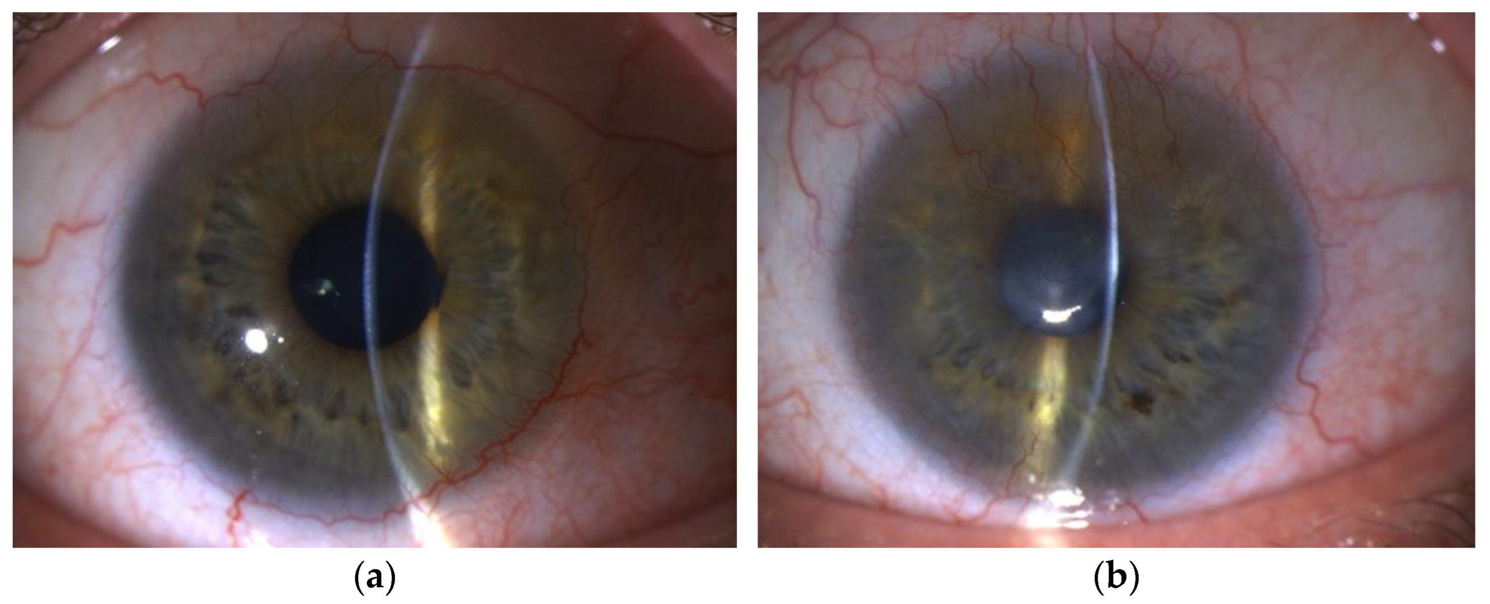 Diagnostics 13 00199 g003a