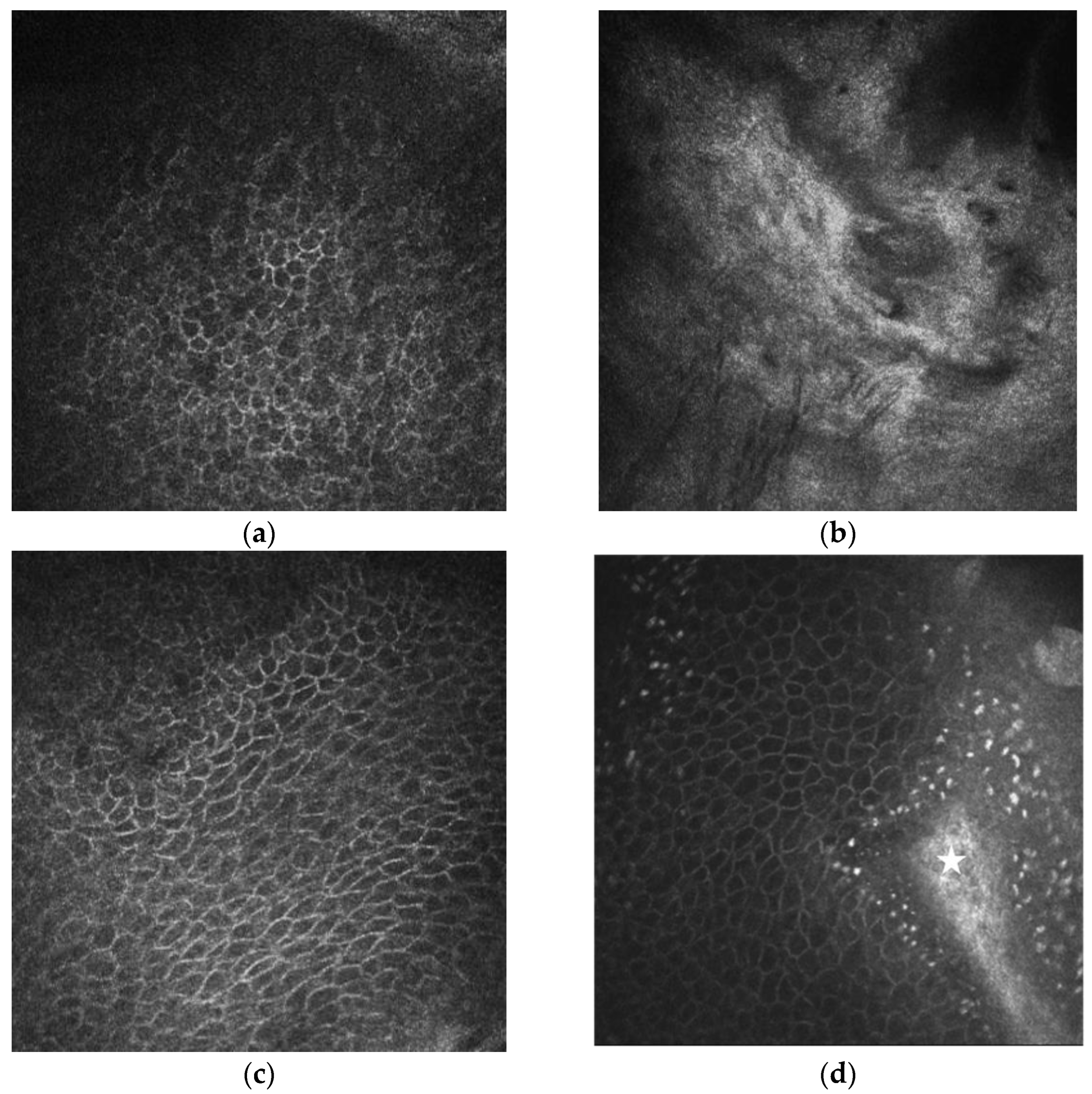 Diagnostics 13 00199 g005