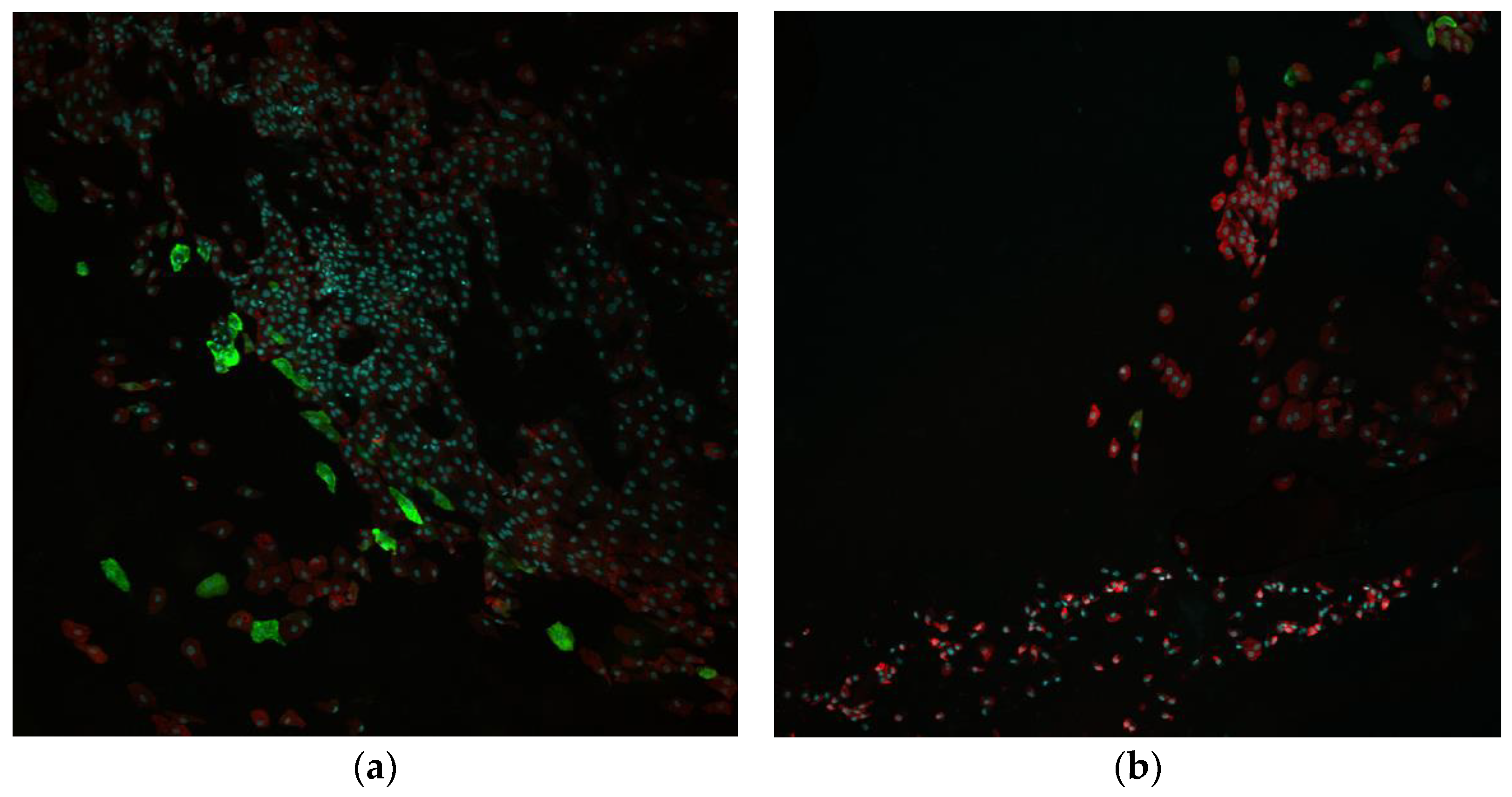 Diagnostics 13 00199 g006