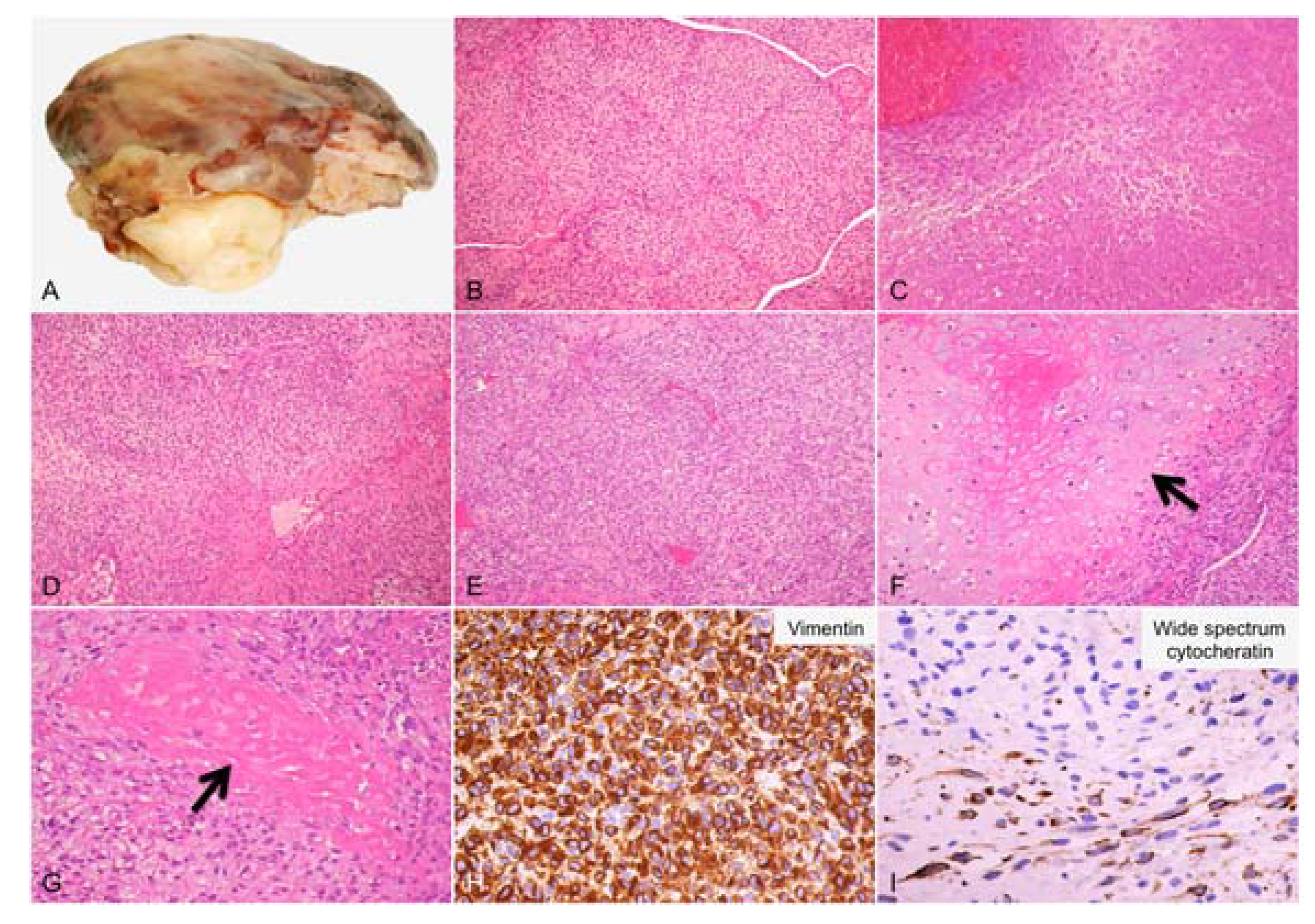 Diagnostics 13 00214 g001