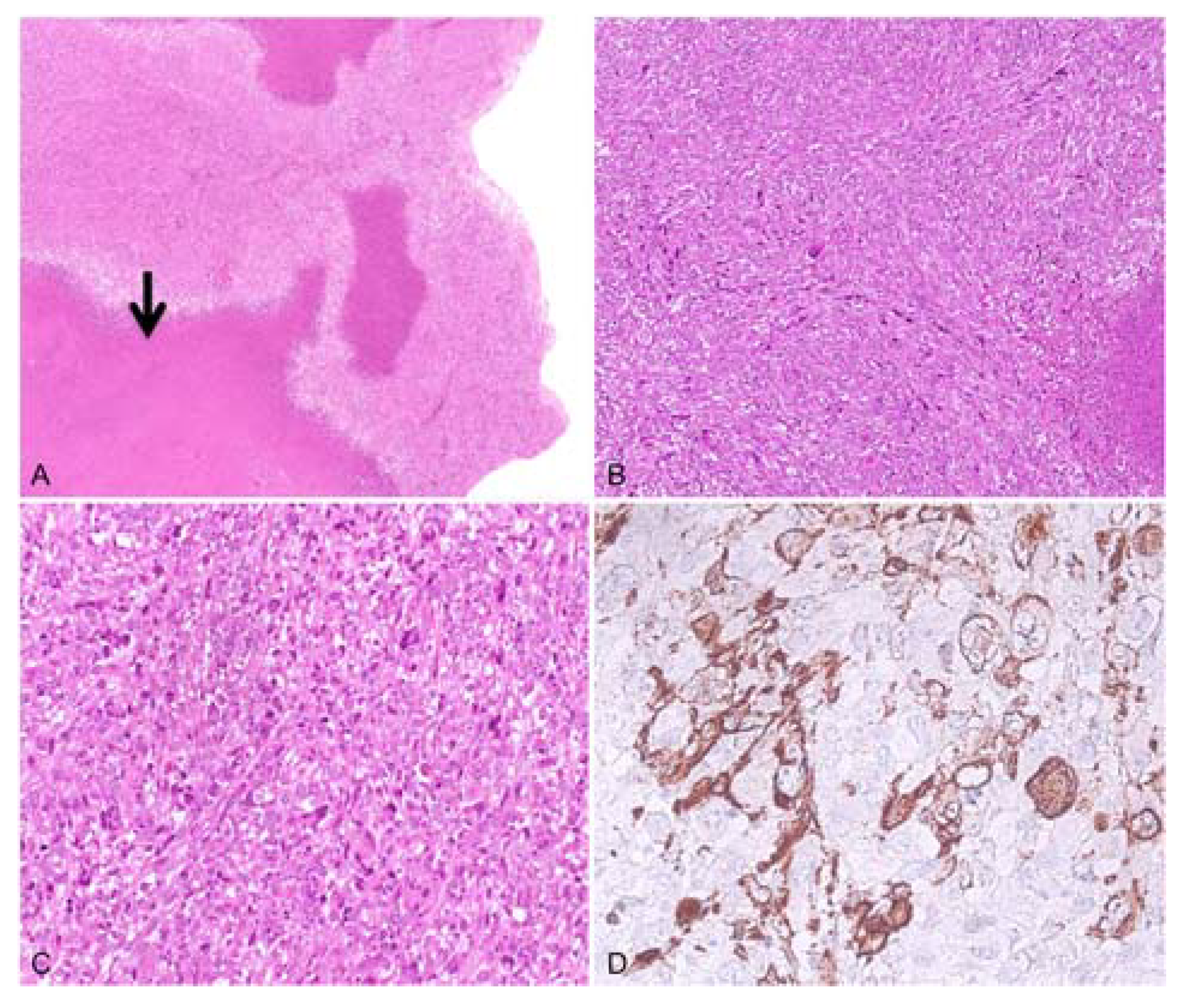 Diagnostics 13 00214 g002