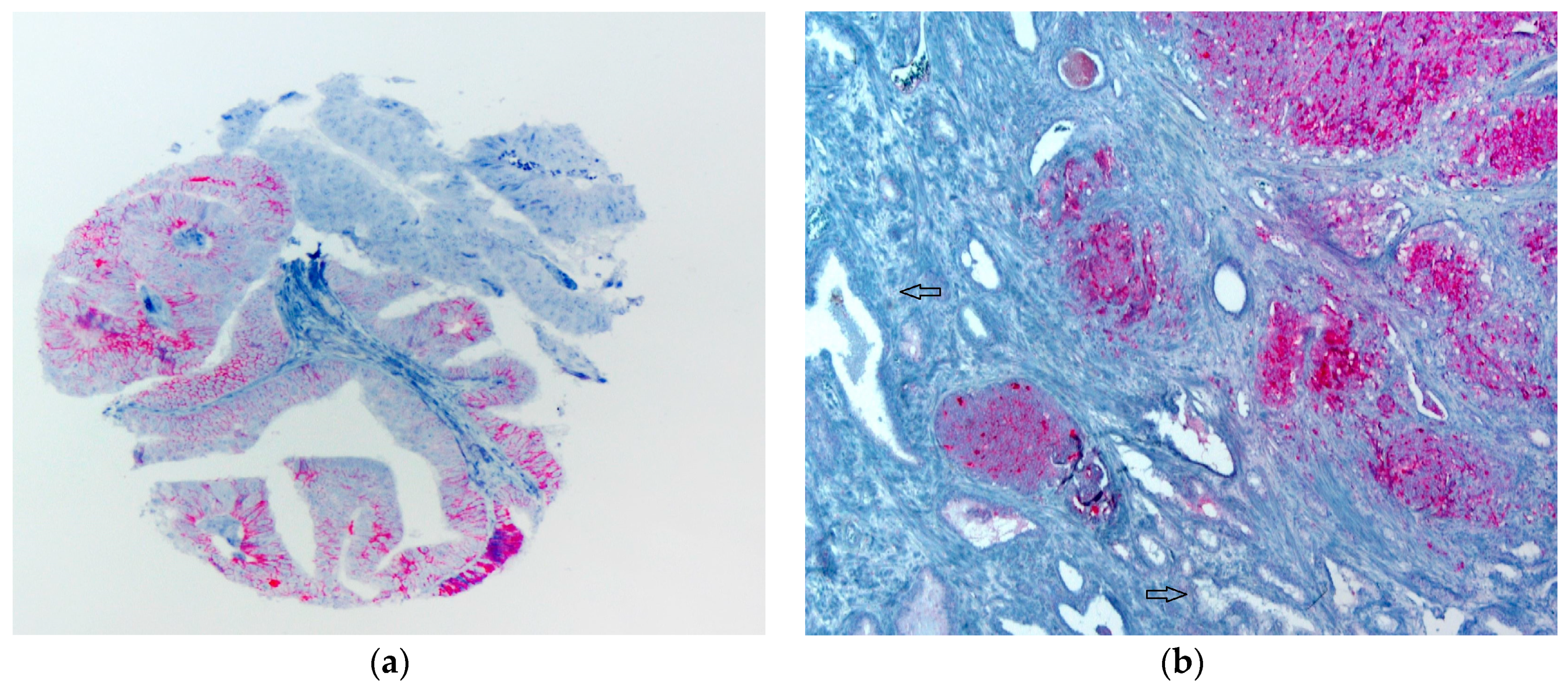 Diagnostics 13 00221 g001 Diagnostics 13 00221 g001