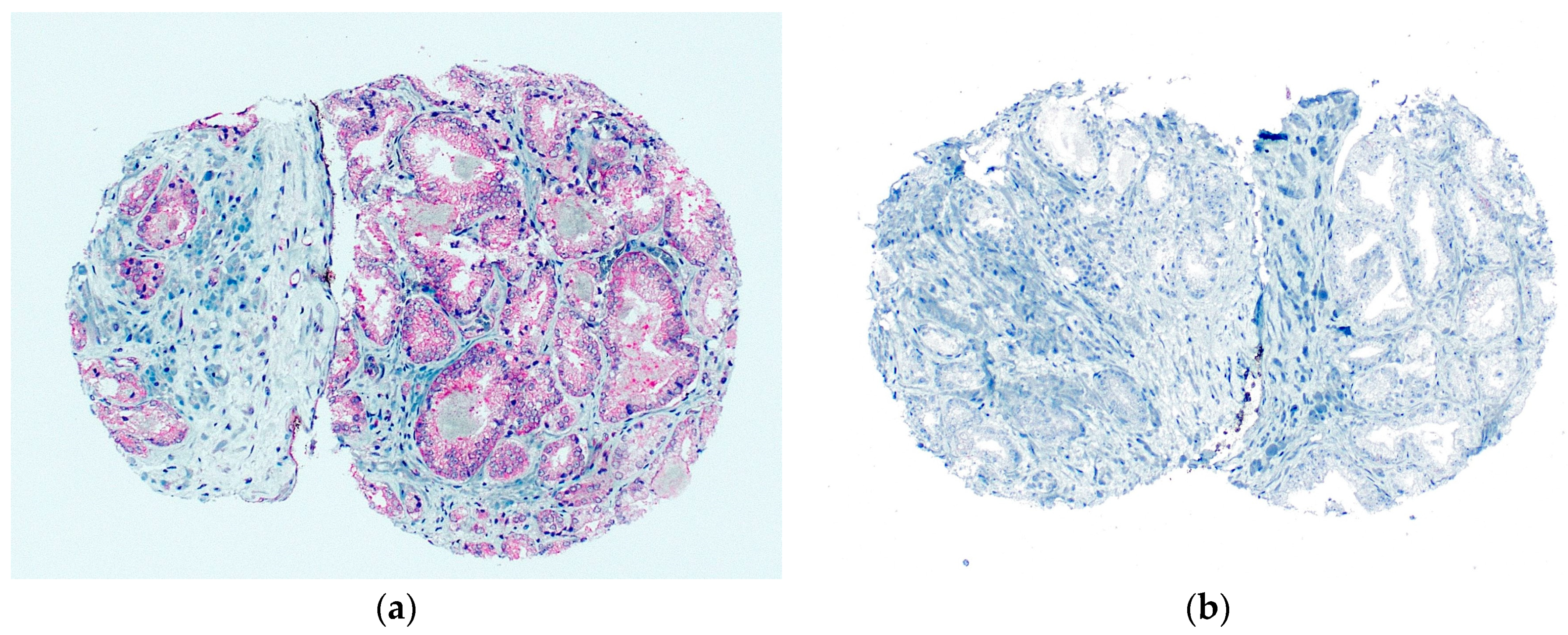 Diagnostics 13 00221 g003 Diagnostics 13 00221 g003