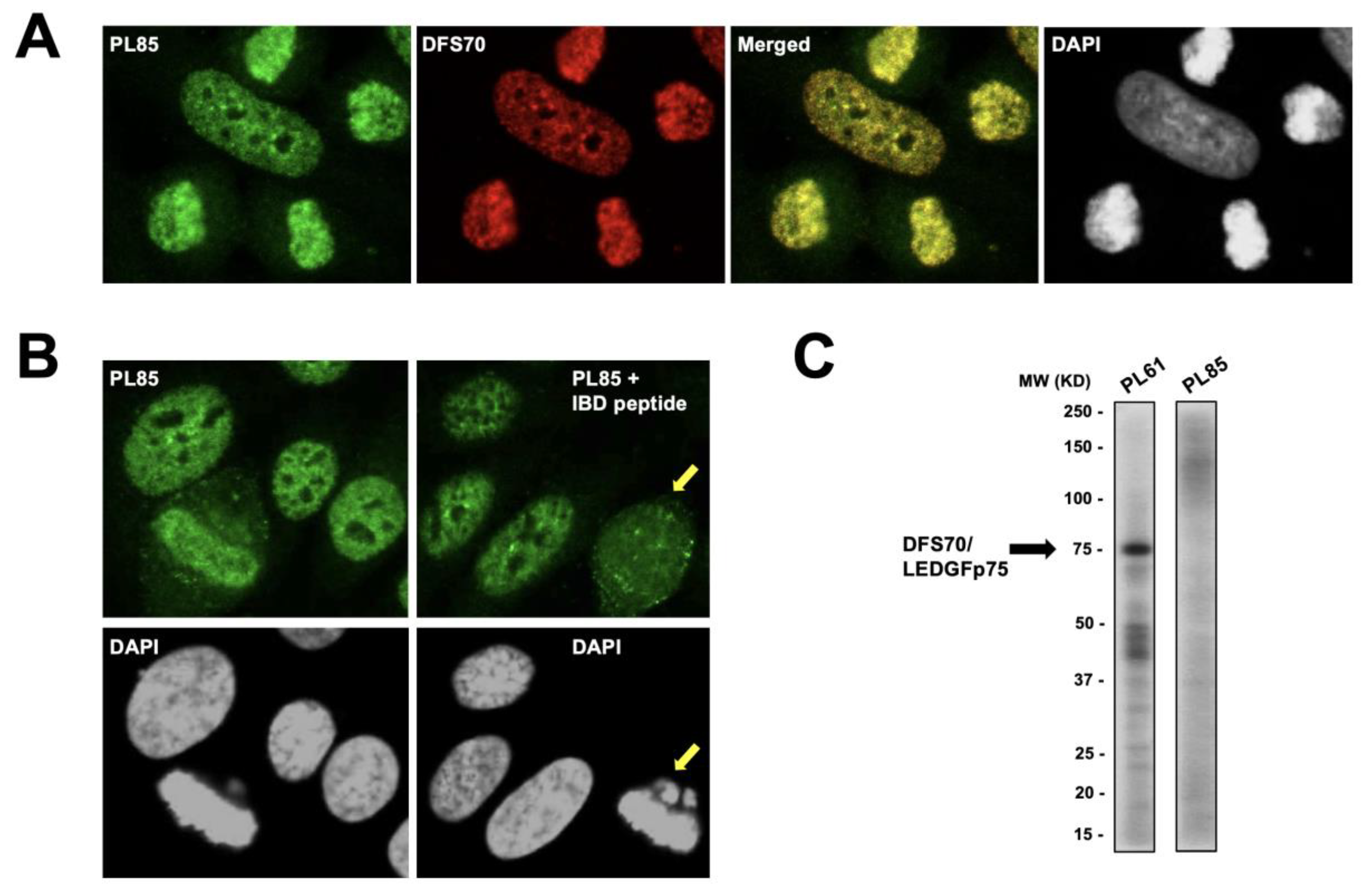 Diagnostics 13 00222 g005 Diagnostics 13 00222 g005