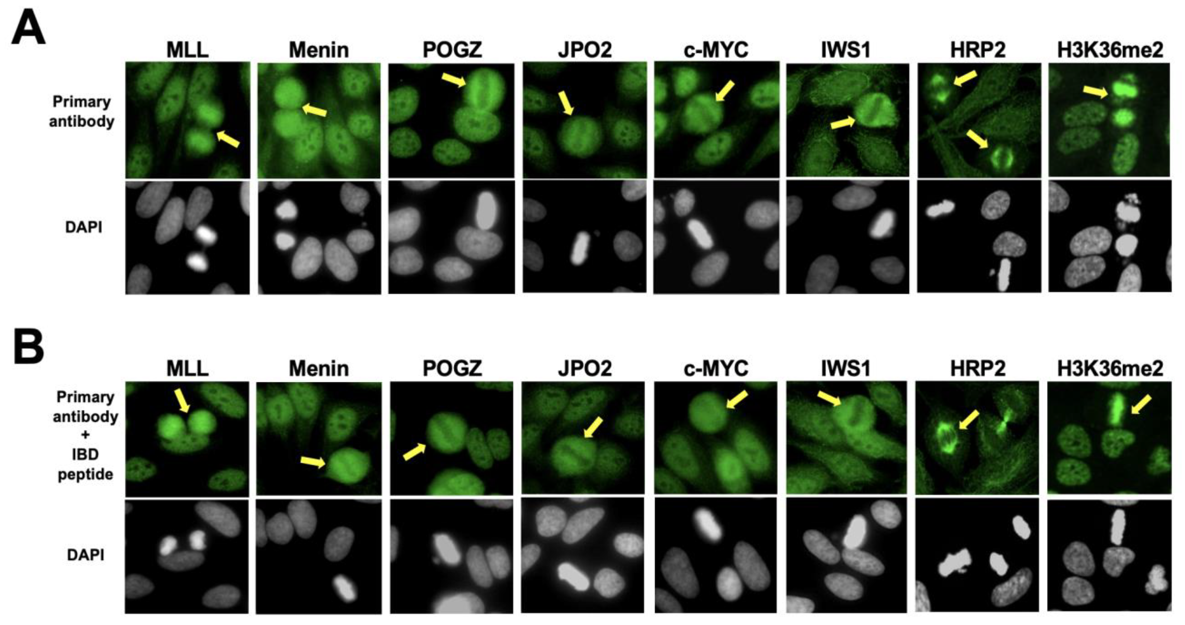 Diagnostics 13 00222 g007 Diagnostics 13 00222 g007
