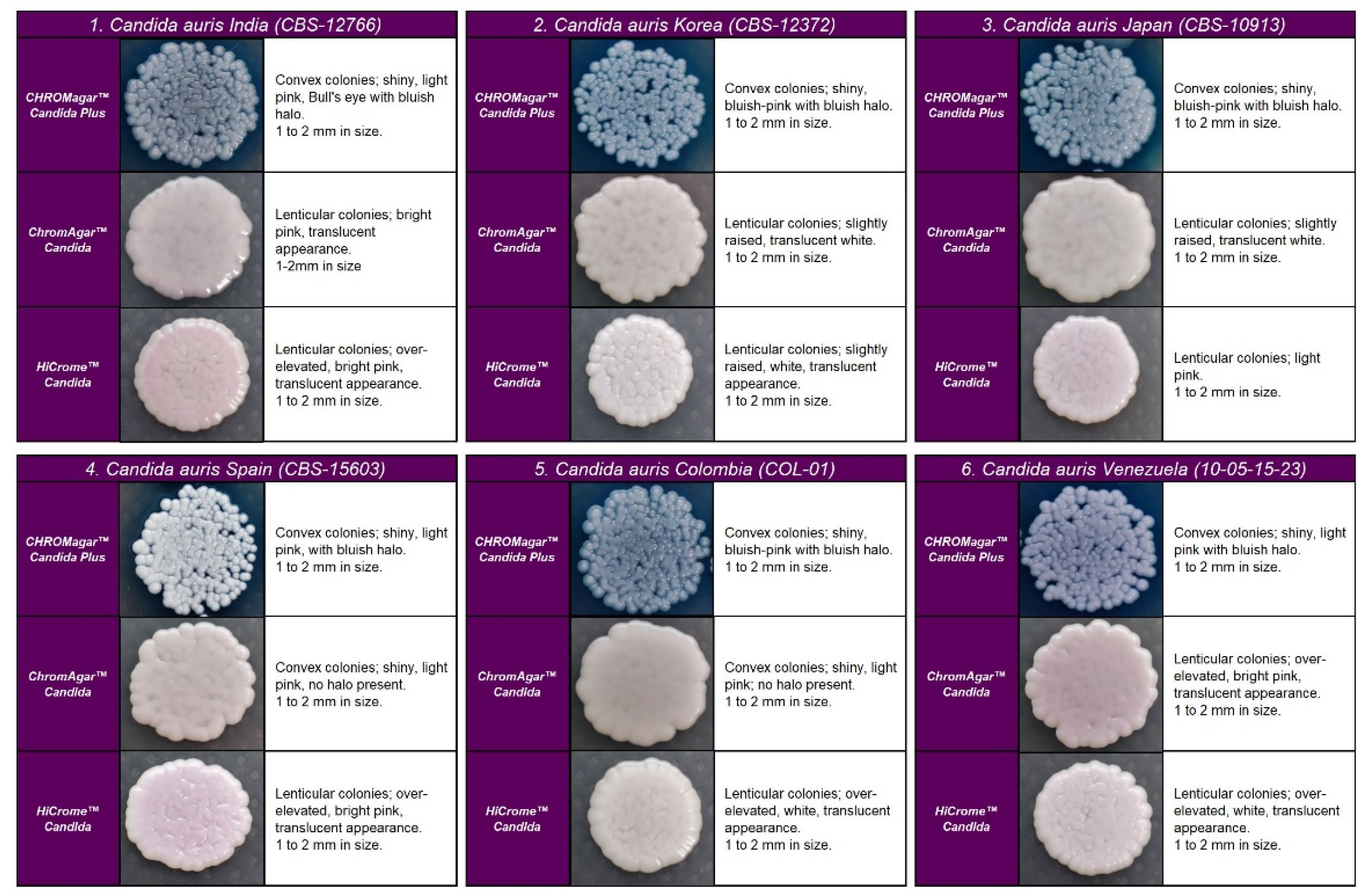 Diagnostics 13 00231 g001 Diagnostics 13 00231 g001