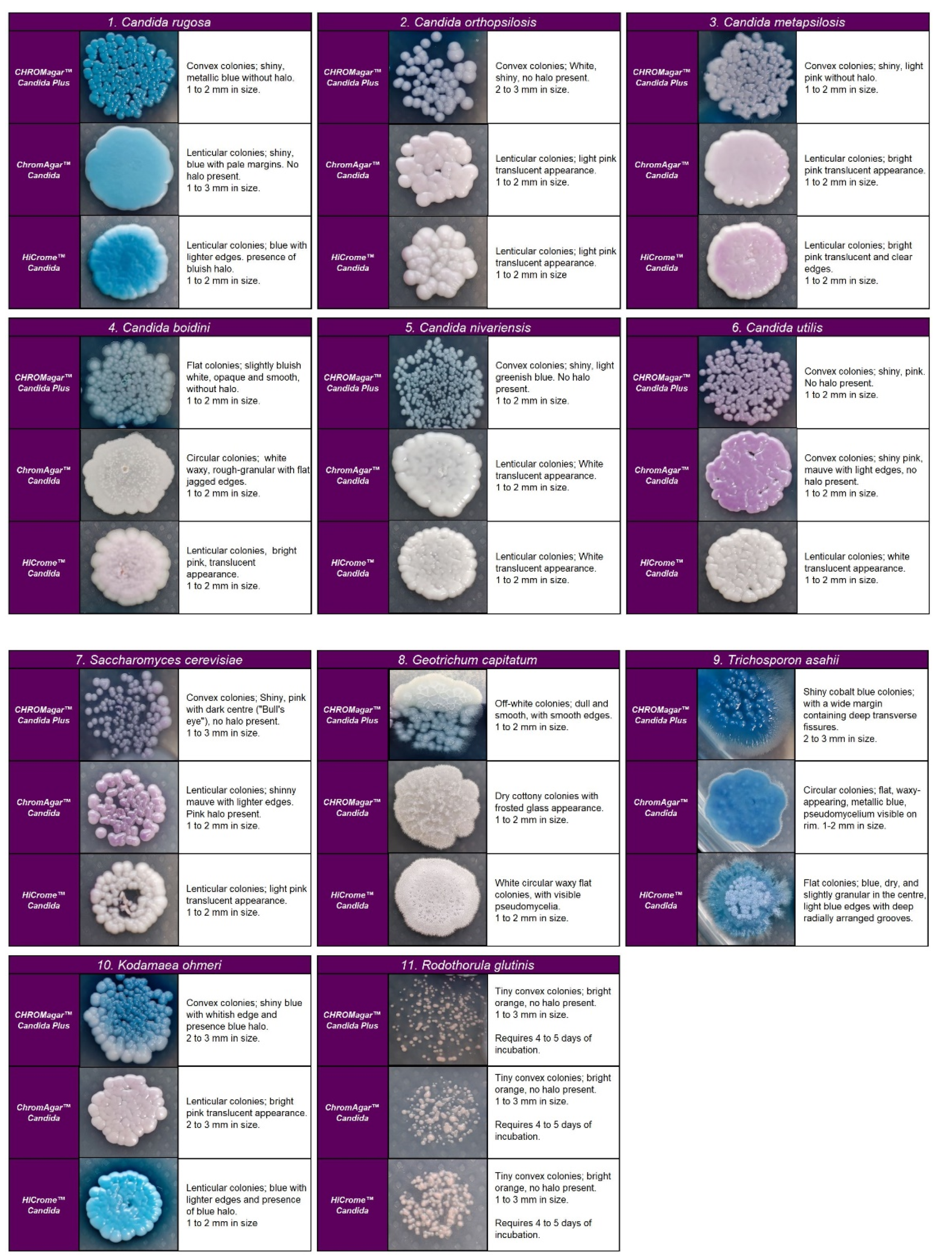 Diagnostics 13 00231 g003 Diagnostics 13 00231 g003