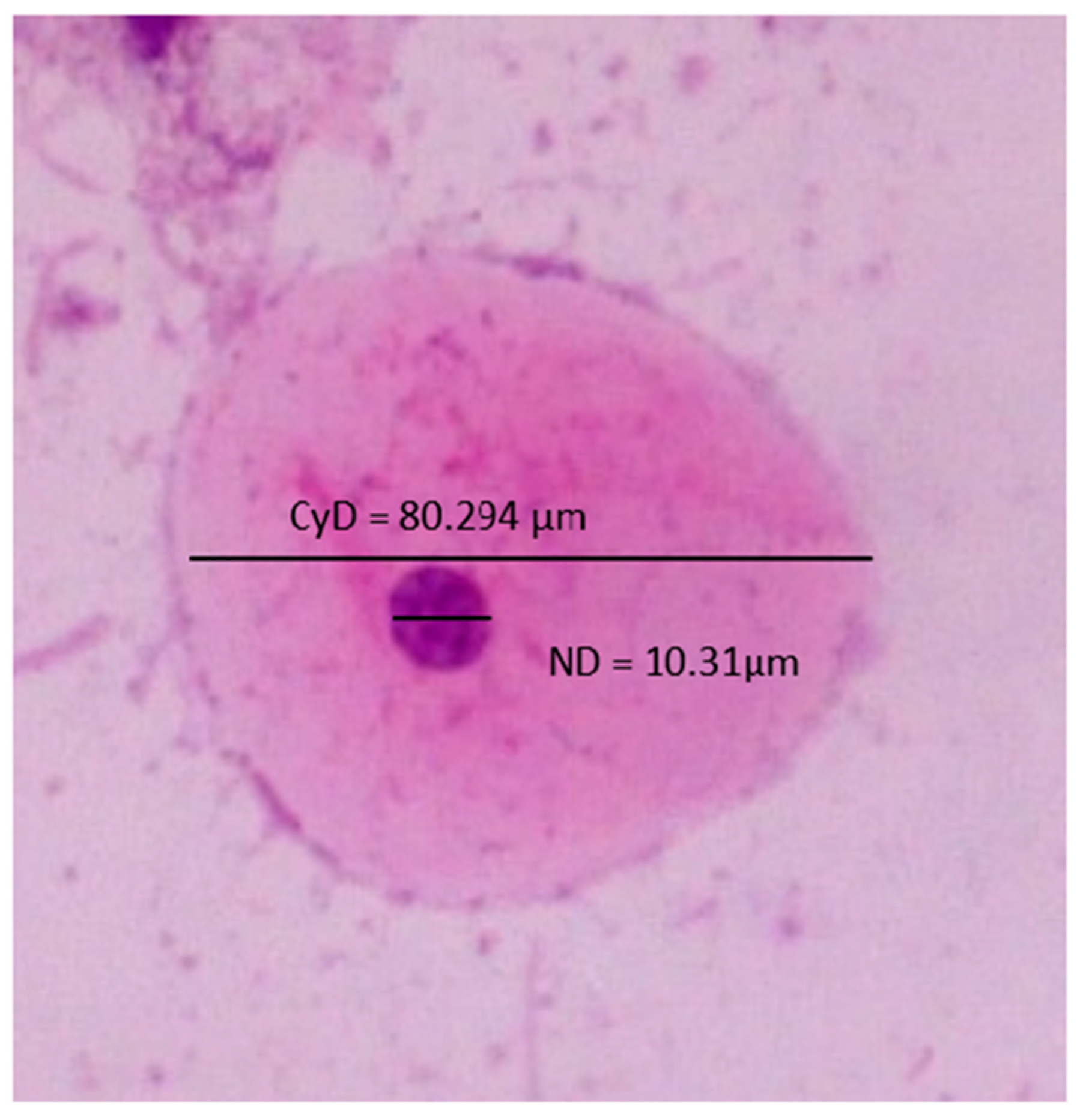 Diagnostics 13 00234 g001 Diagnostics 13 00234 g001