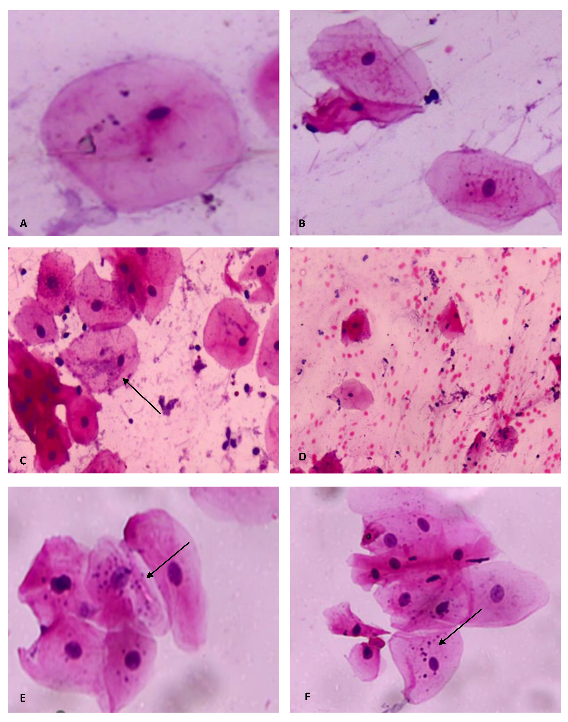 Diagnostics 13 00234 g003 Diagnostics 13 00234 g003