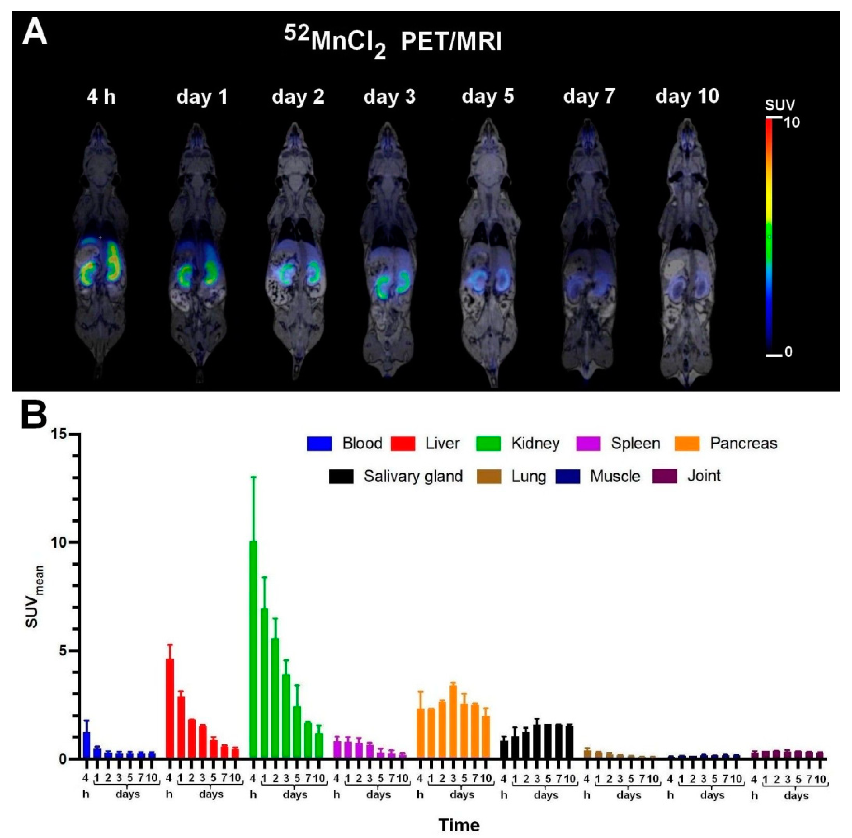 Diagnostics Free FullText In Vivo Preclinical Assessment of the
