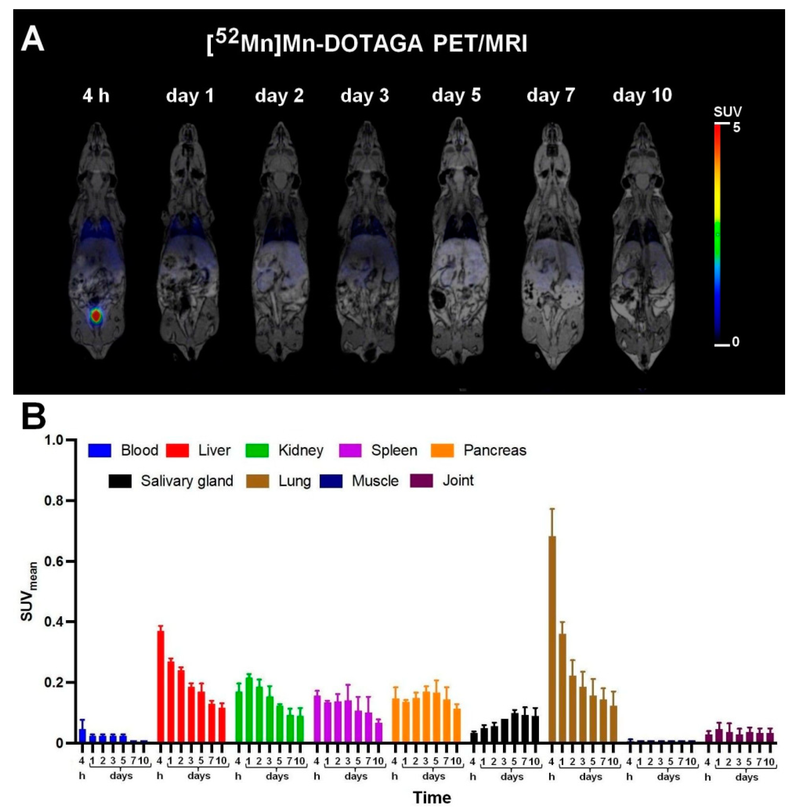 Diagnostics 13 00236 g004