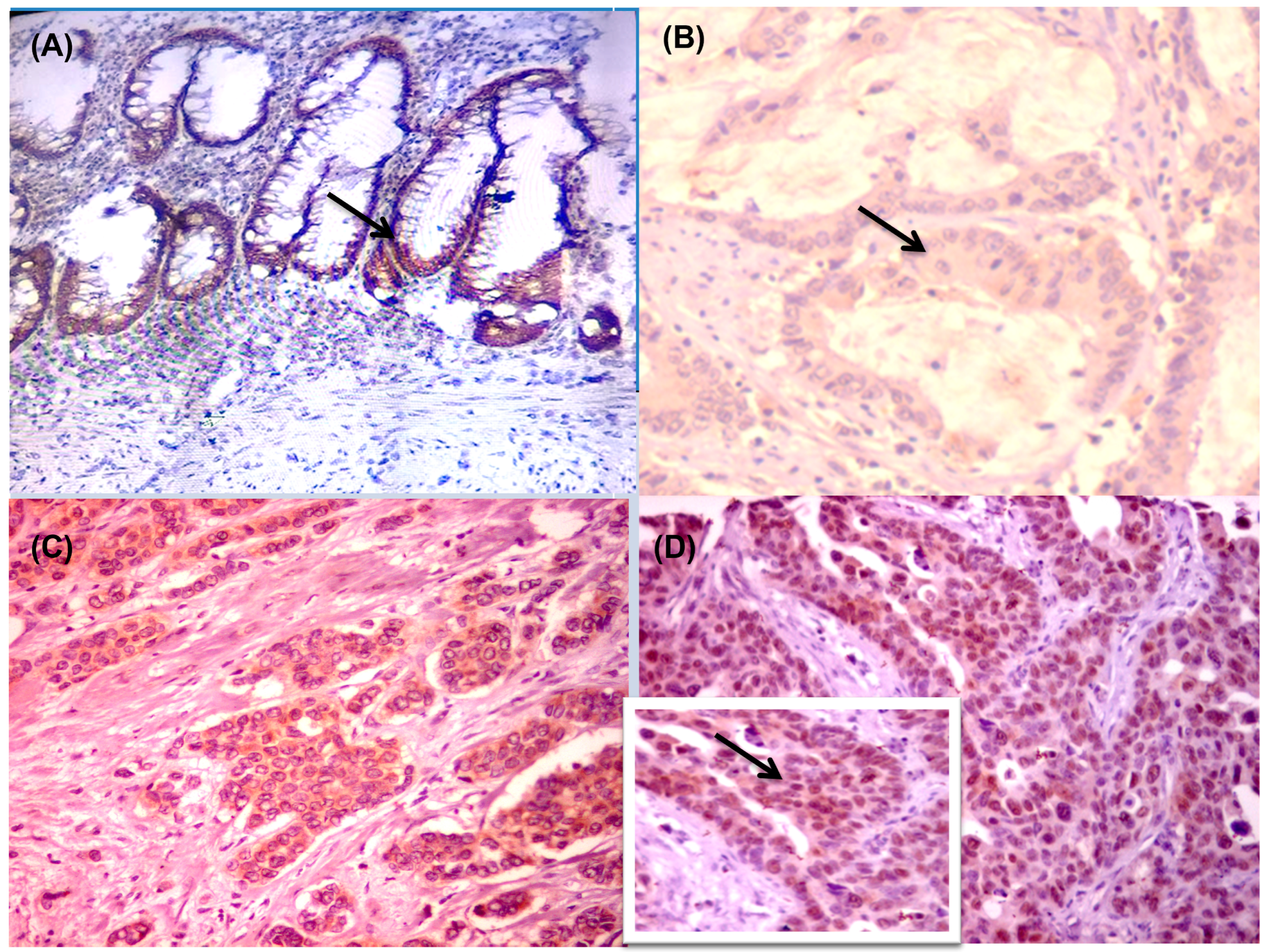 Diagnostics 13 00237 g002