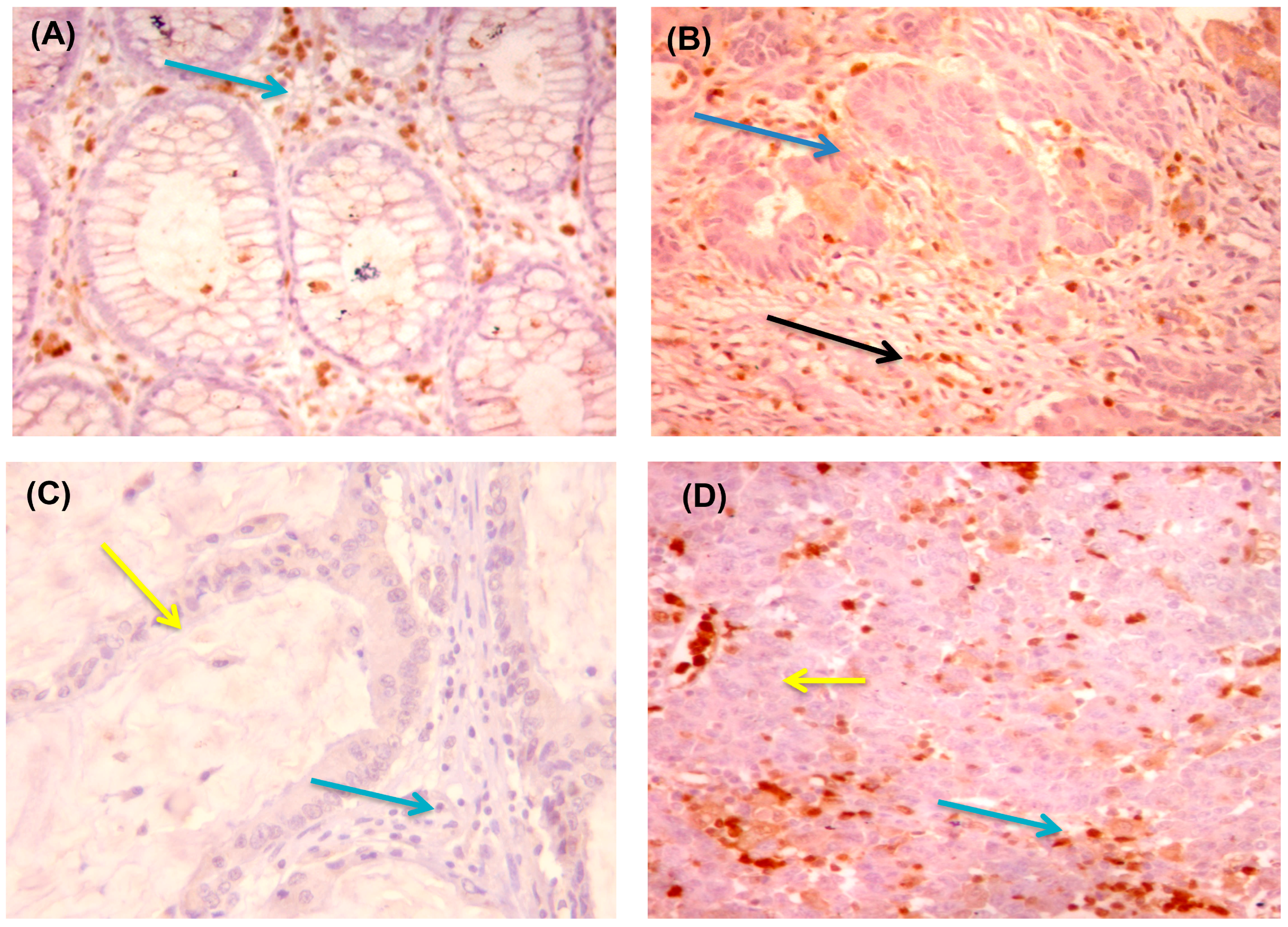 Diagnostics 13 00237 g003