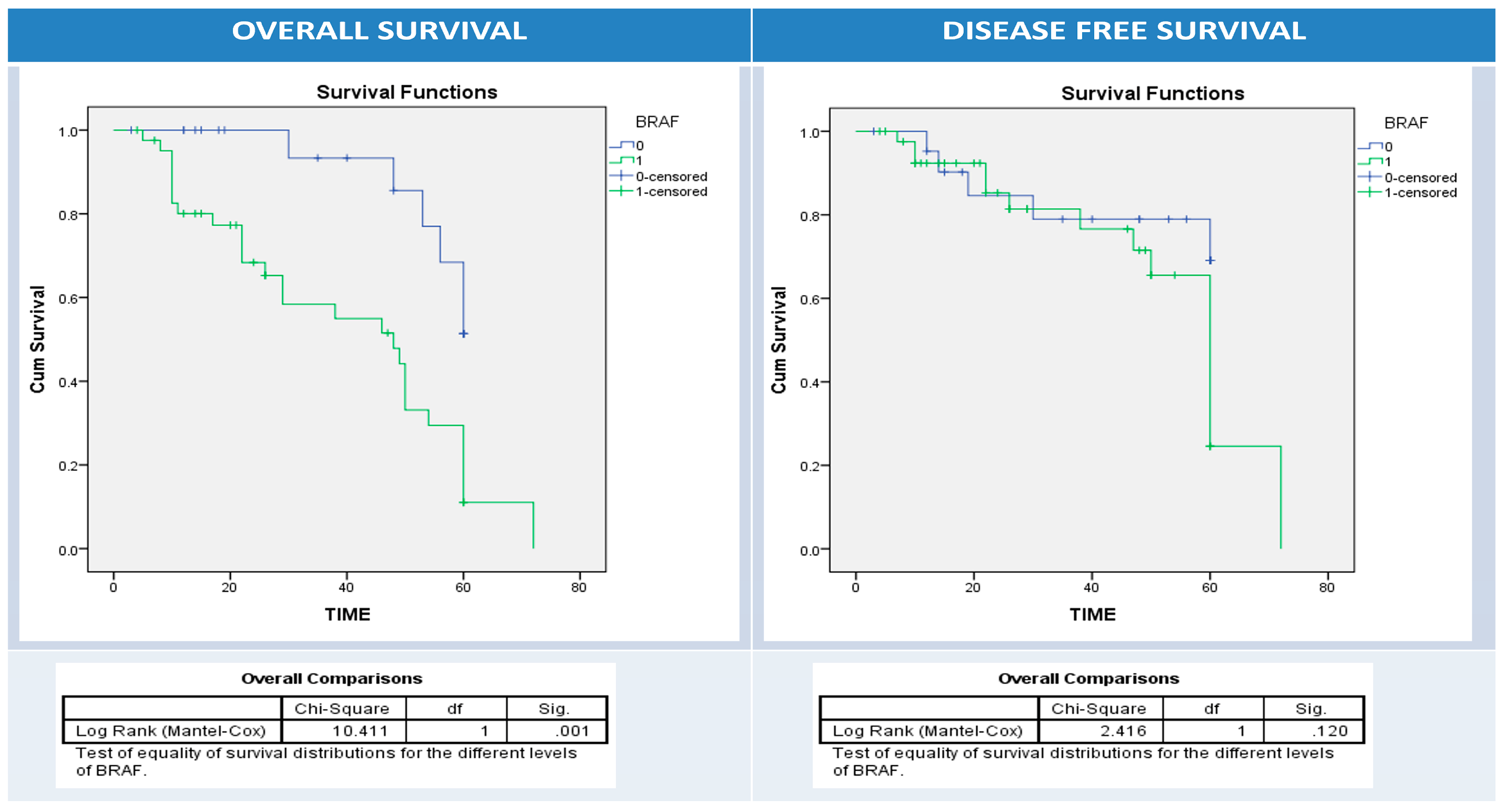 Diagnostics 13 00237 g005