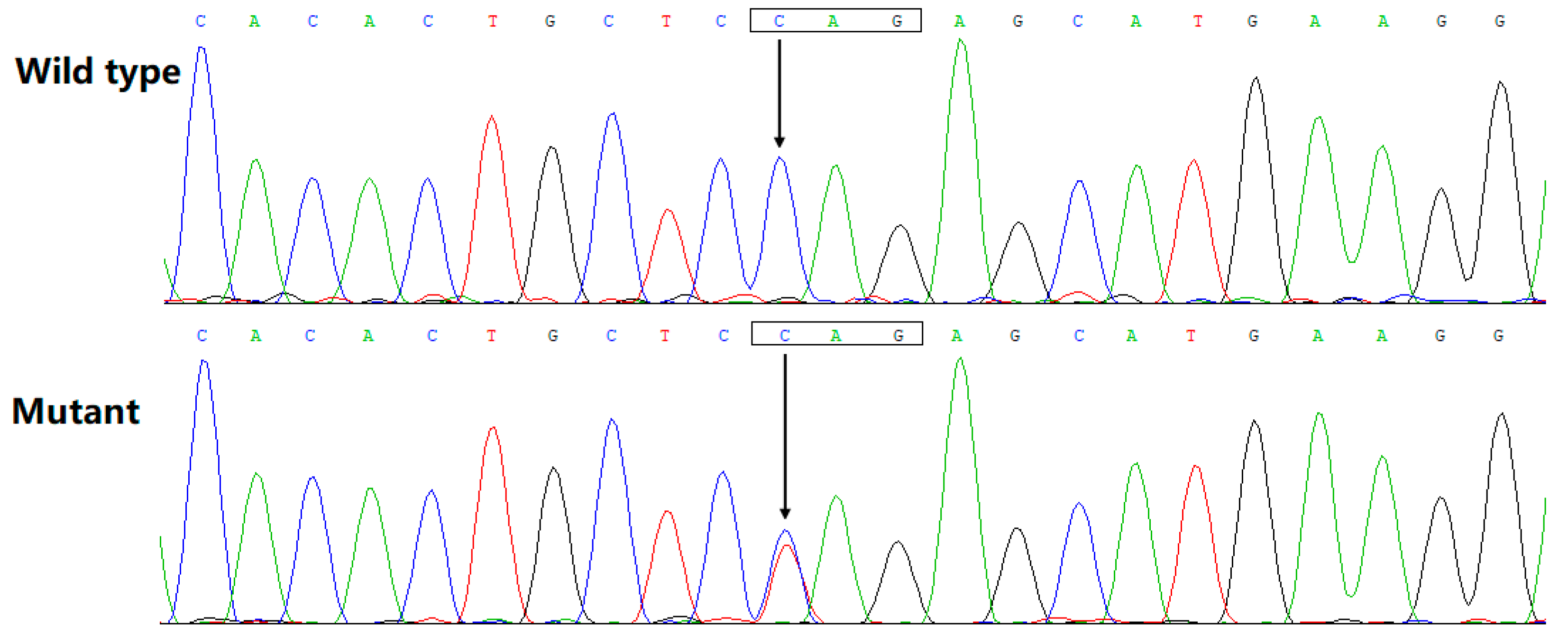 Diagnostics 13 00242 g003 Diagnostics 13 00242 g003