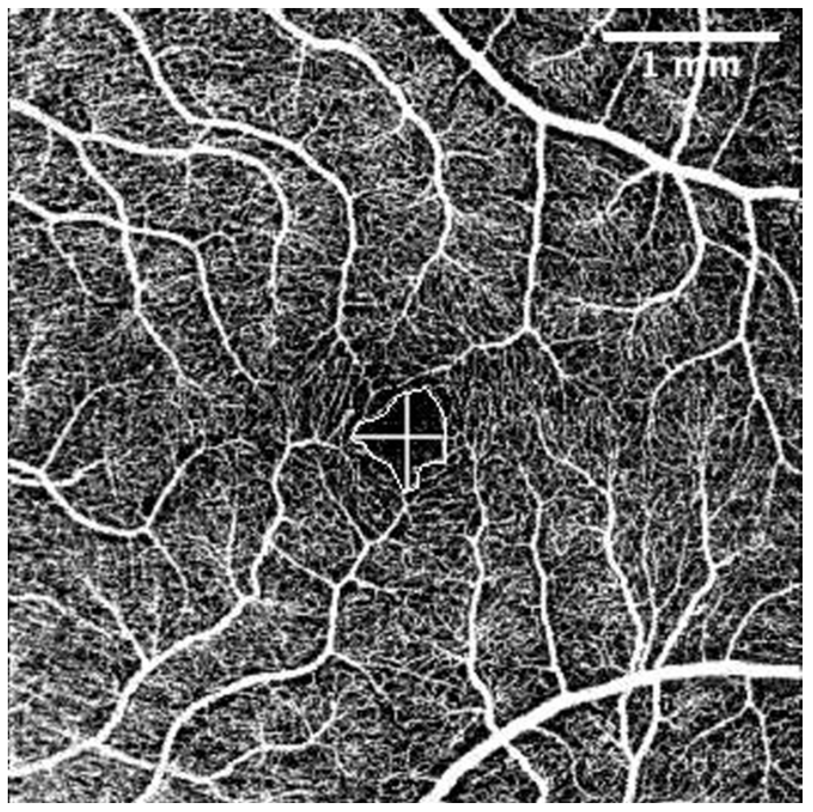 Diagnostics 13 00244 g002 Diagnostics 13 00244 g002