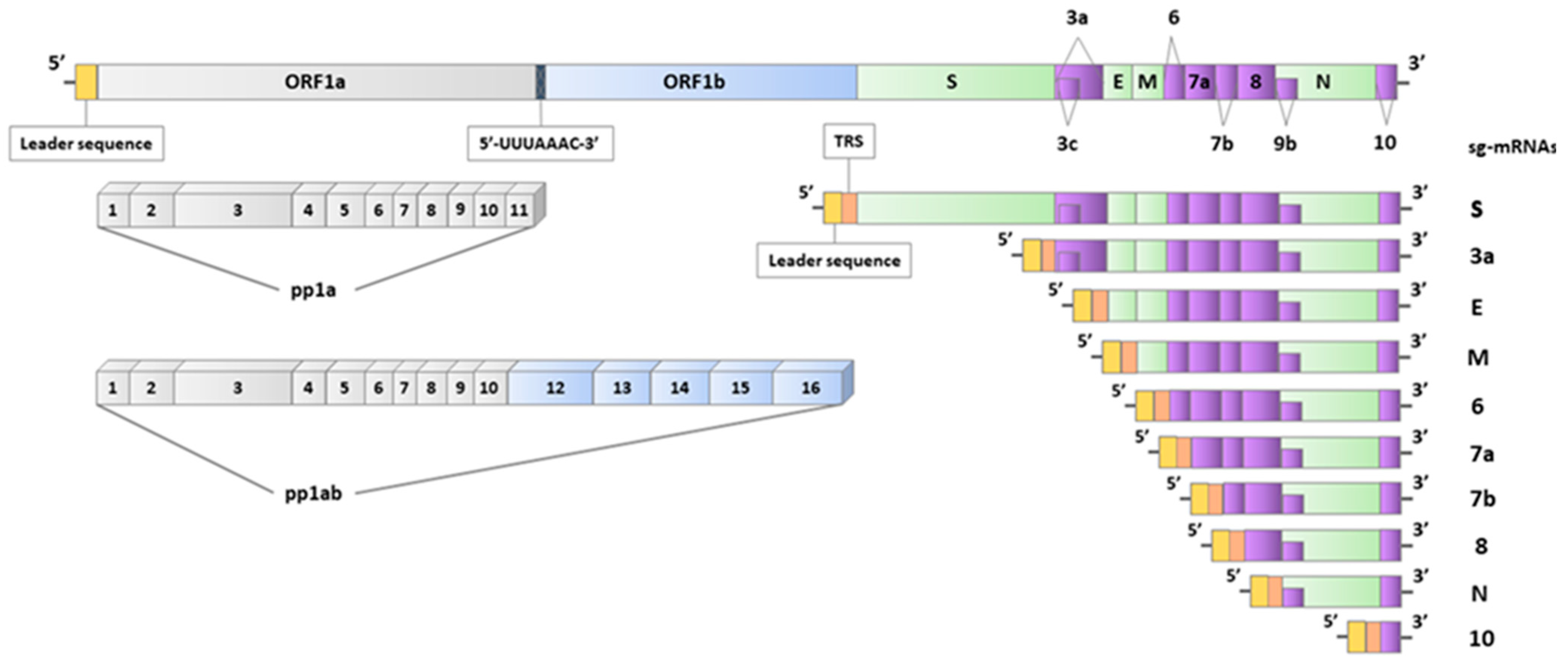 Diagnostics 13 00245 g001 Diagnostics 13 00245 g001