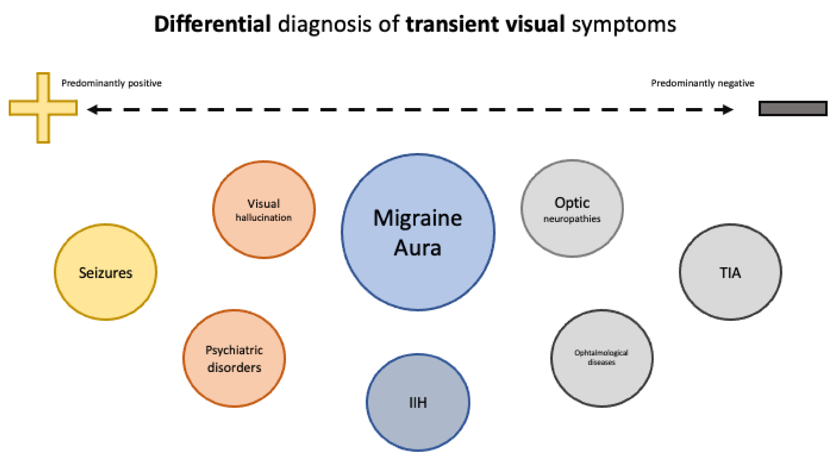 Spotlight On Aura And Visual Snow Syndrome