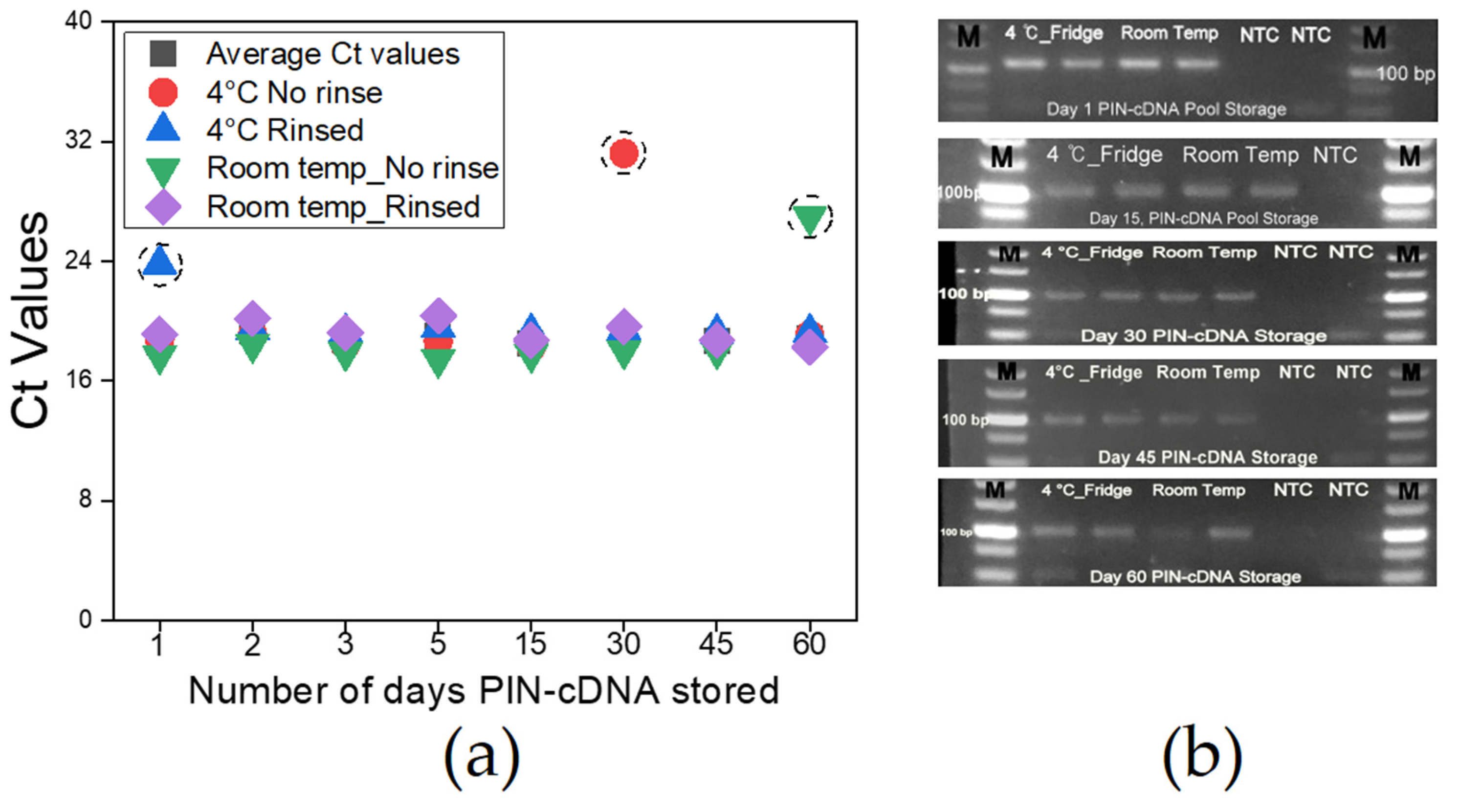 Diagnostics 13 00261 g007