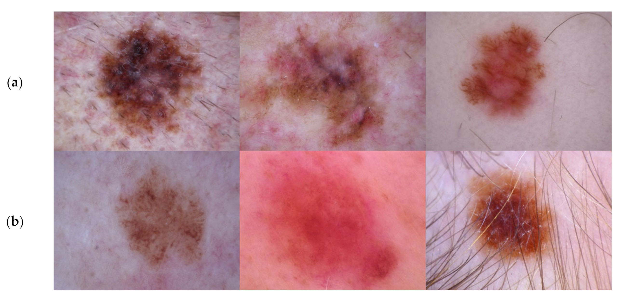 Diagnostics 13 00262 g006