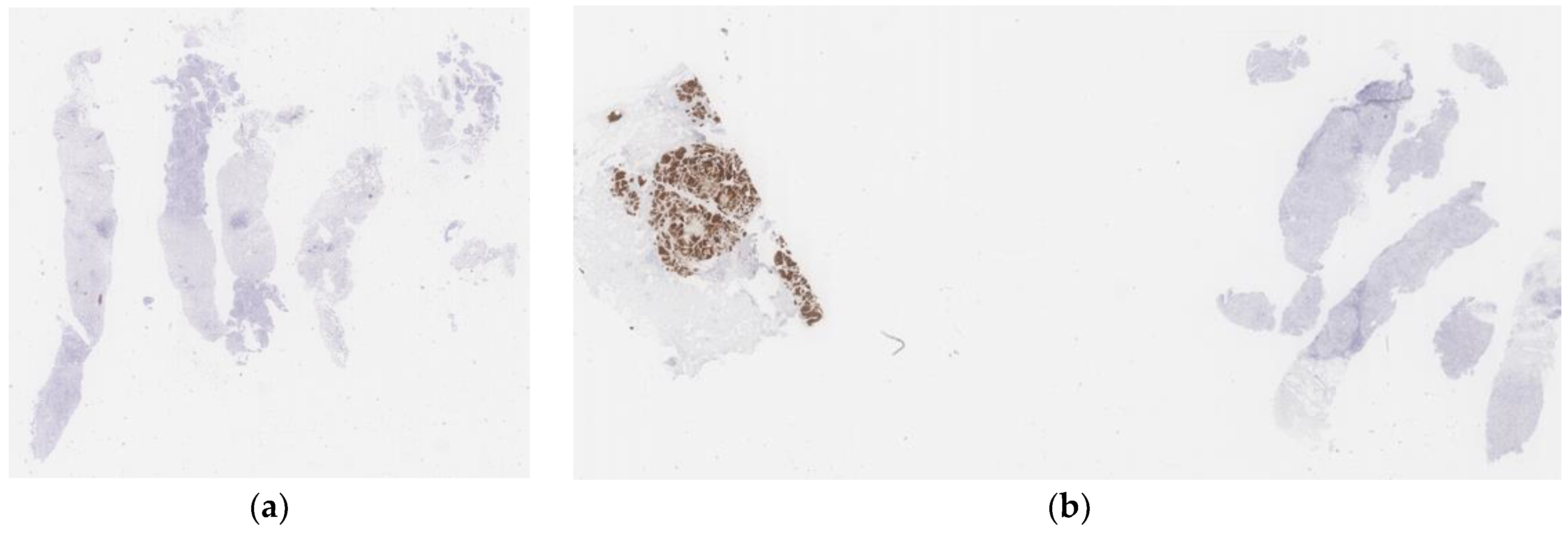 Diagnostics 13 00263 g003